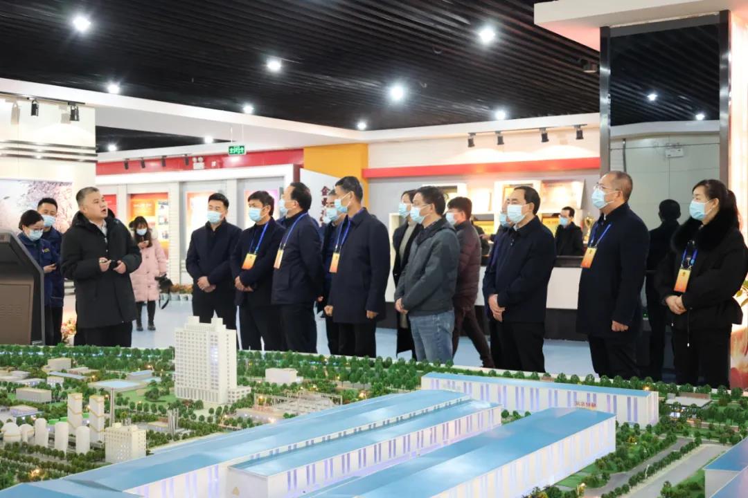 在漢省十三屆人大代表到公司視察