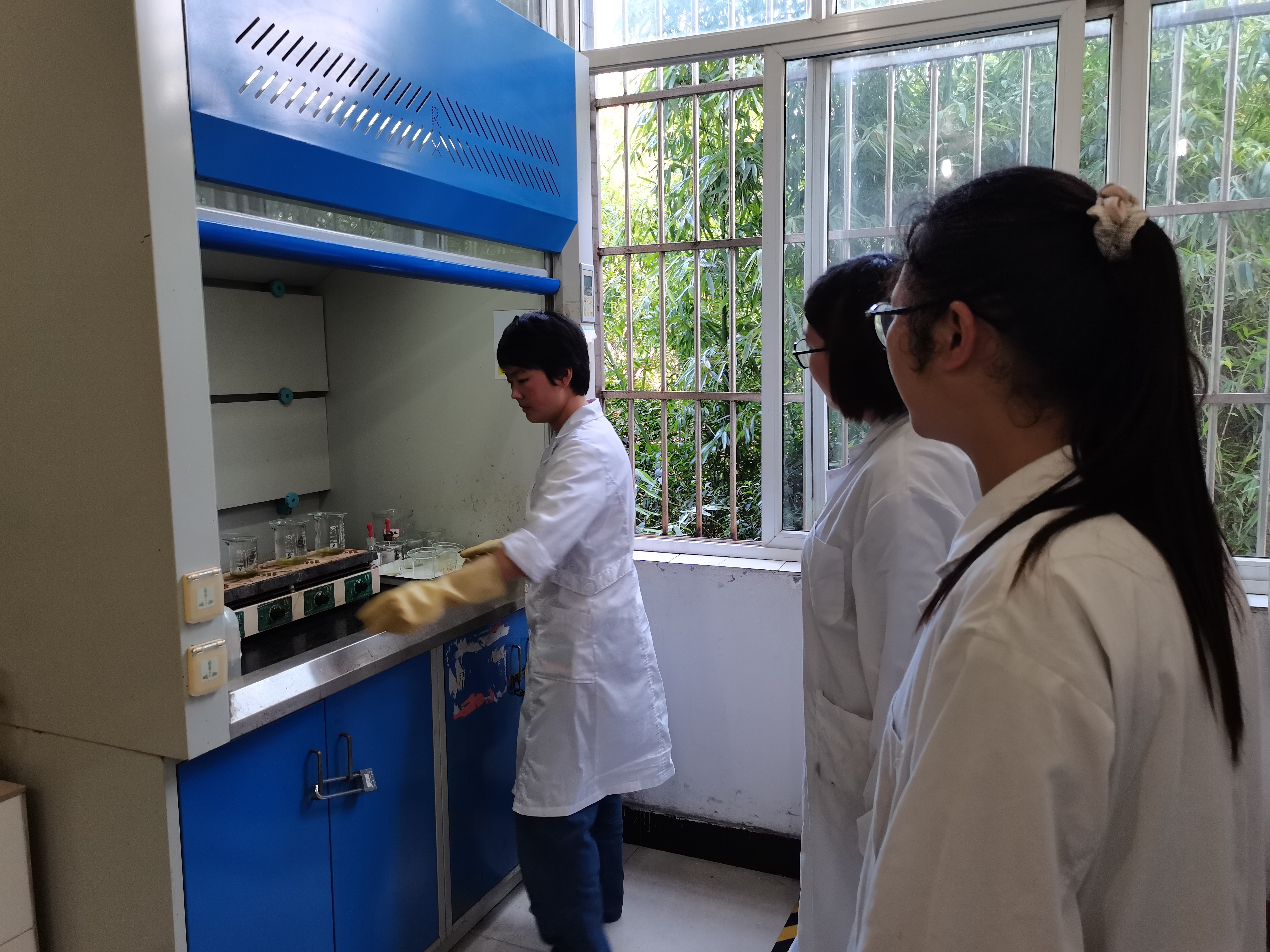 化驗(yàn)室的才女們