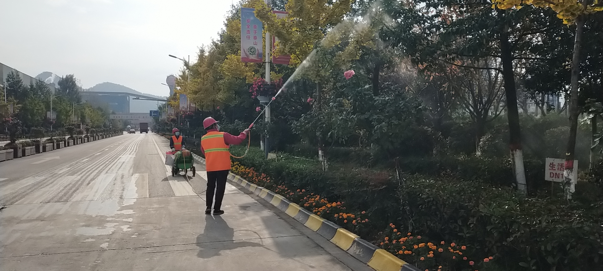 冬去春來，綠化工作從未停歇只為漢鋼更美