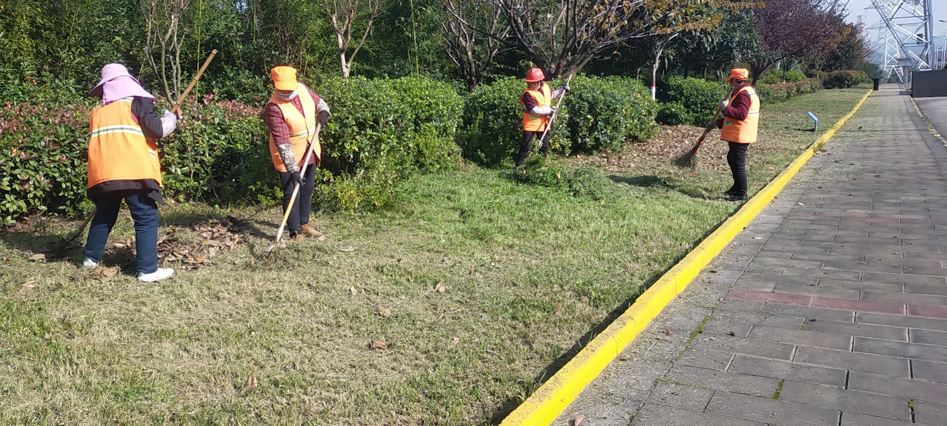 冬去春來，綠化工作從未停歇只為漢鋼更美