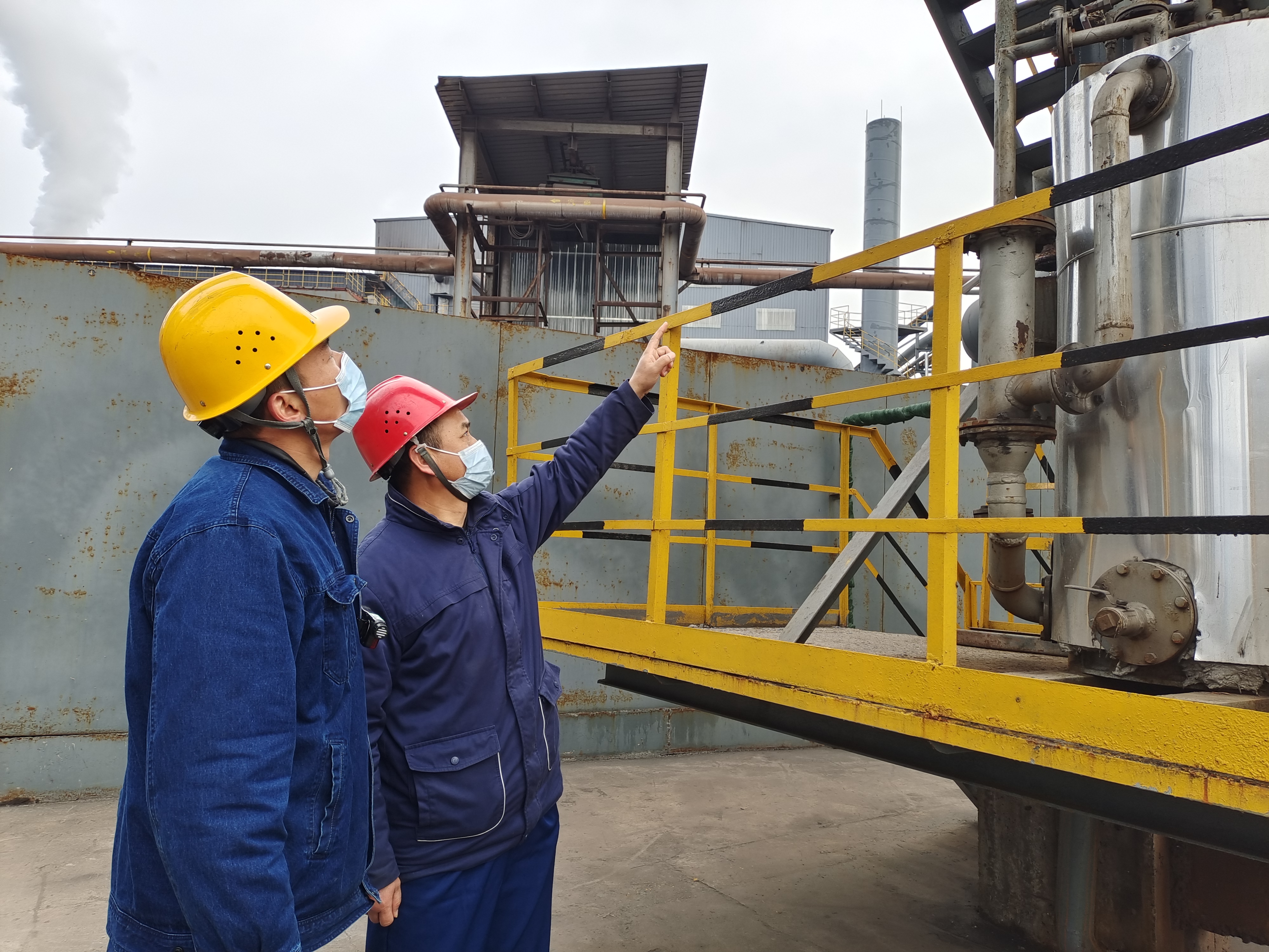 他們是初春最美的風(fēng)景