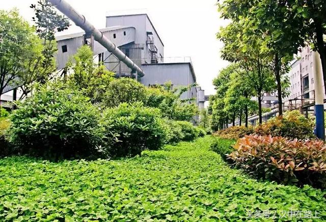 守護(hù)藍(lán)天白云 挖得“真金白銀”