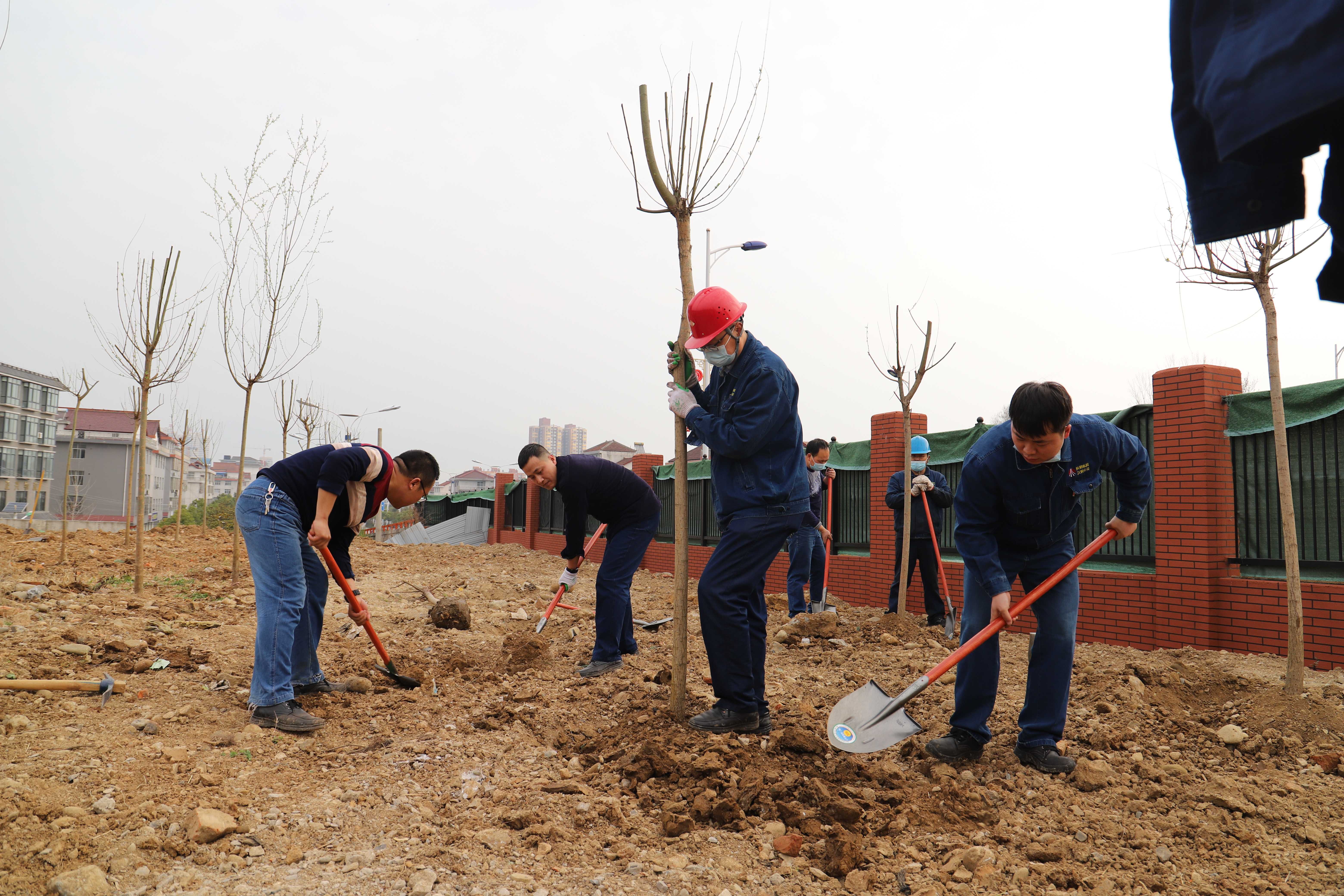 打造“綠”名片，推進(jìn)新發(fā)展