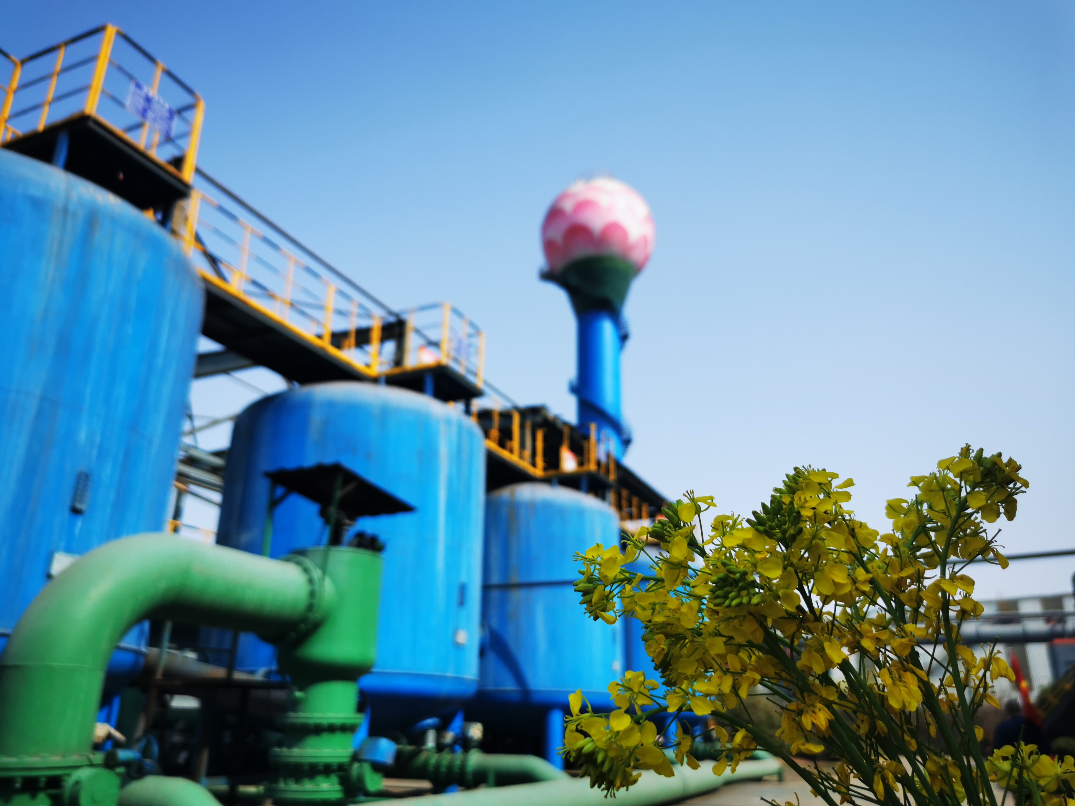 厚植環(huán)保沃土，探索“綠”文化建設(shè)新模式