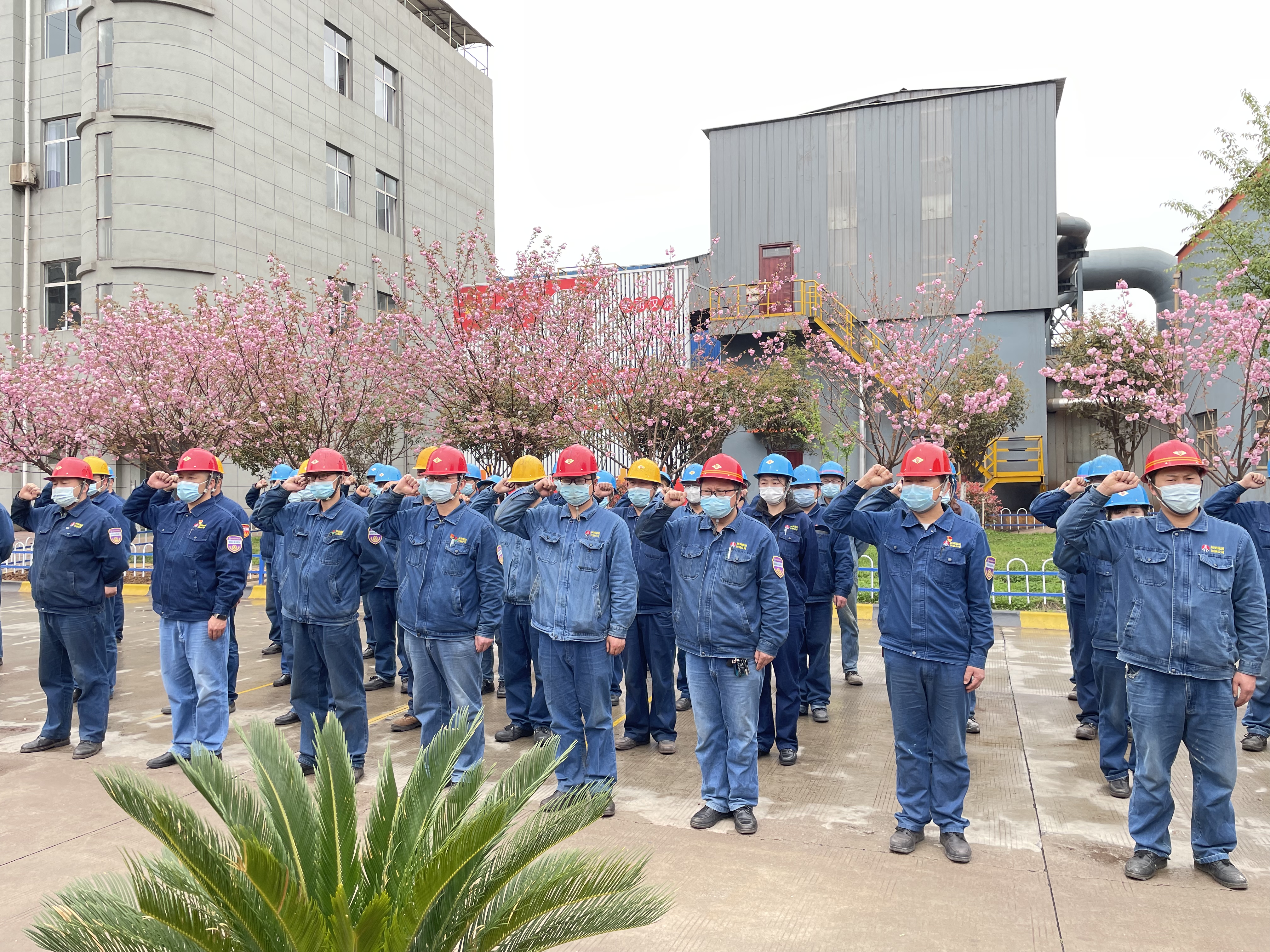 “四不傷害月”，燒結(jié)廠這樣干