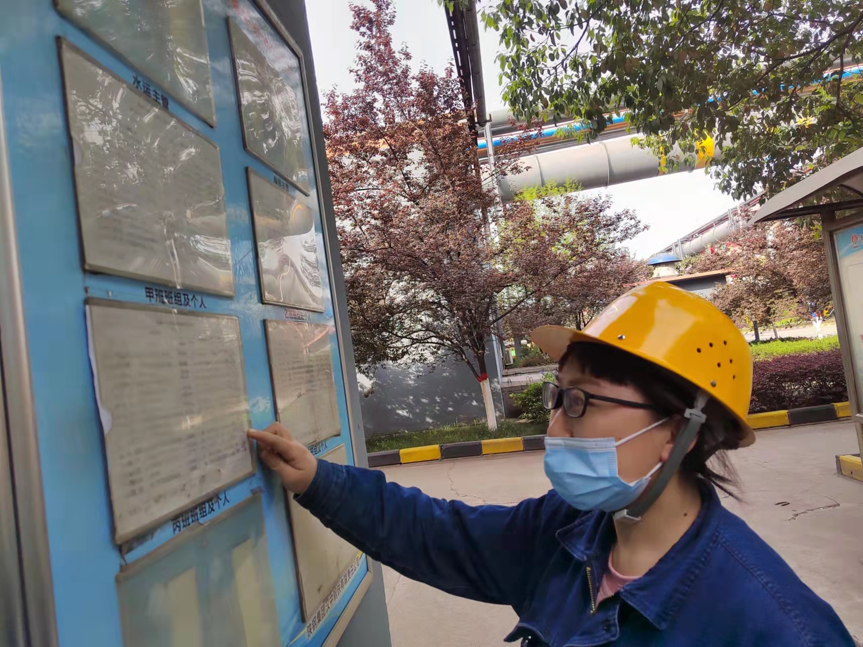 快看，檢修現(xiàn)場的“三角梅”