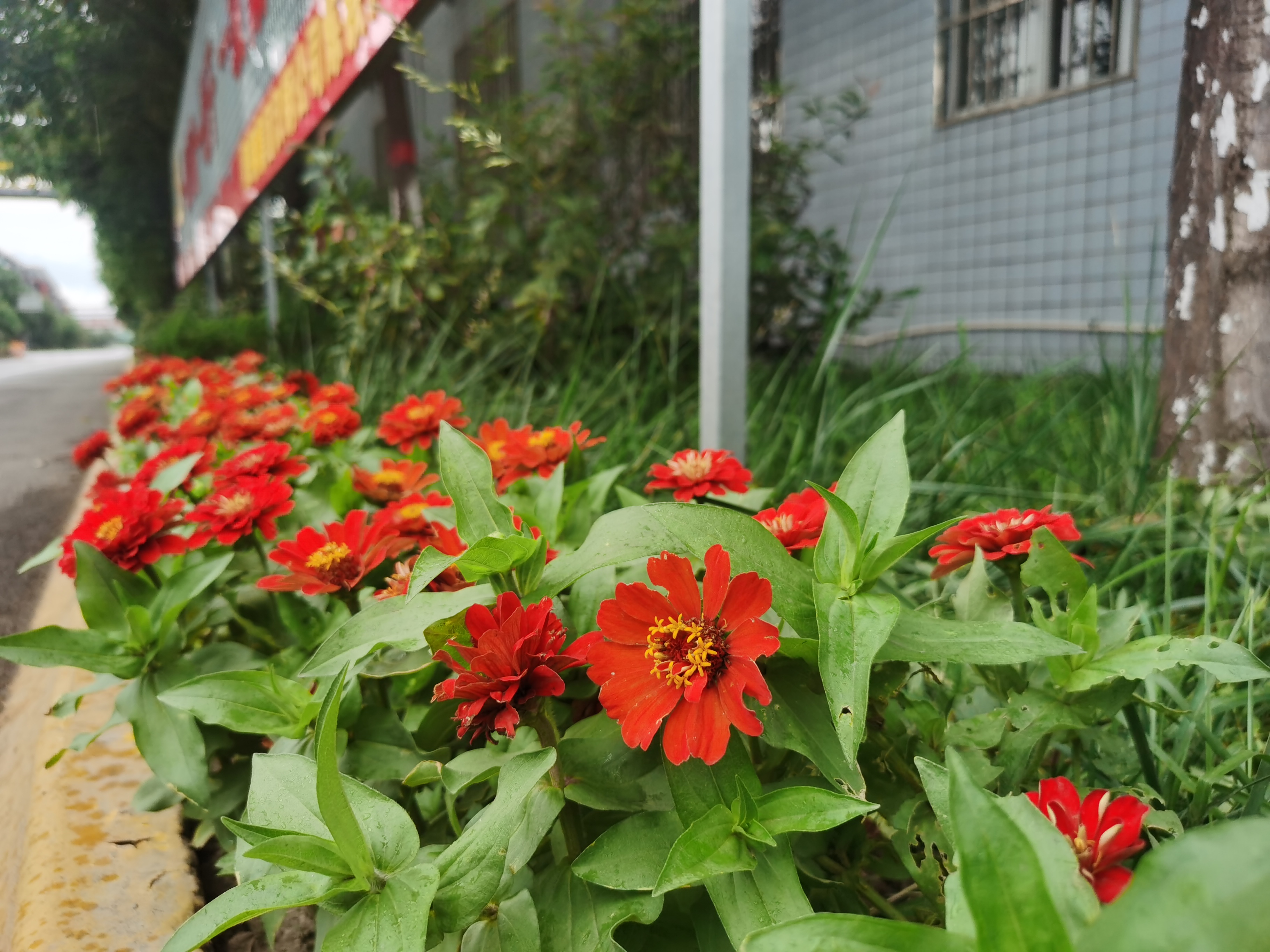 繪就綠色生態(tài)“新名片”