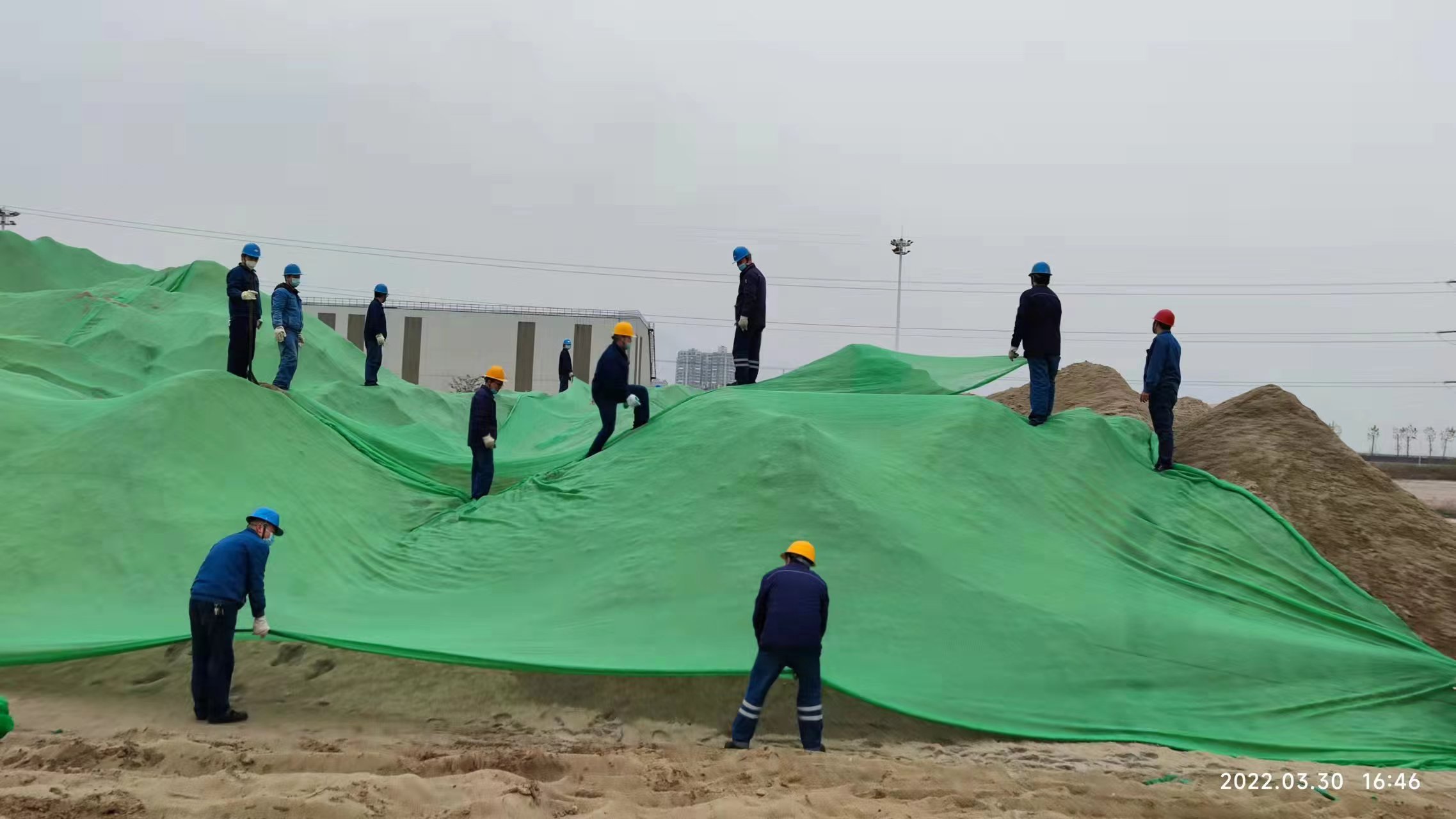 黨建引領強作風，務實篤行提質效