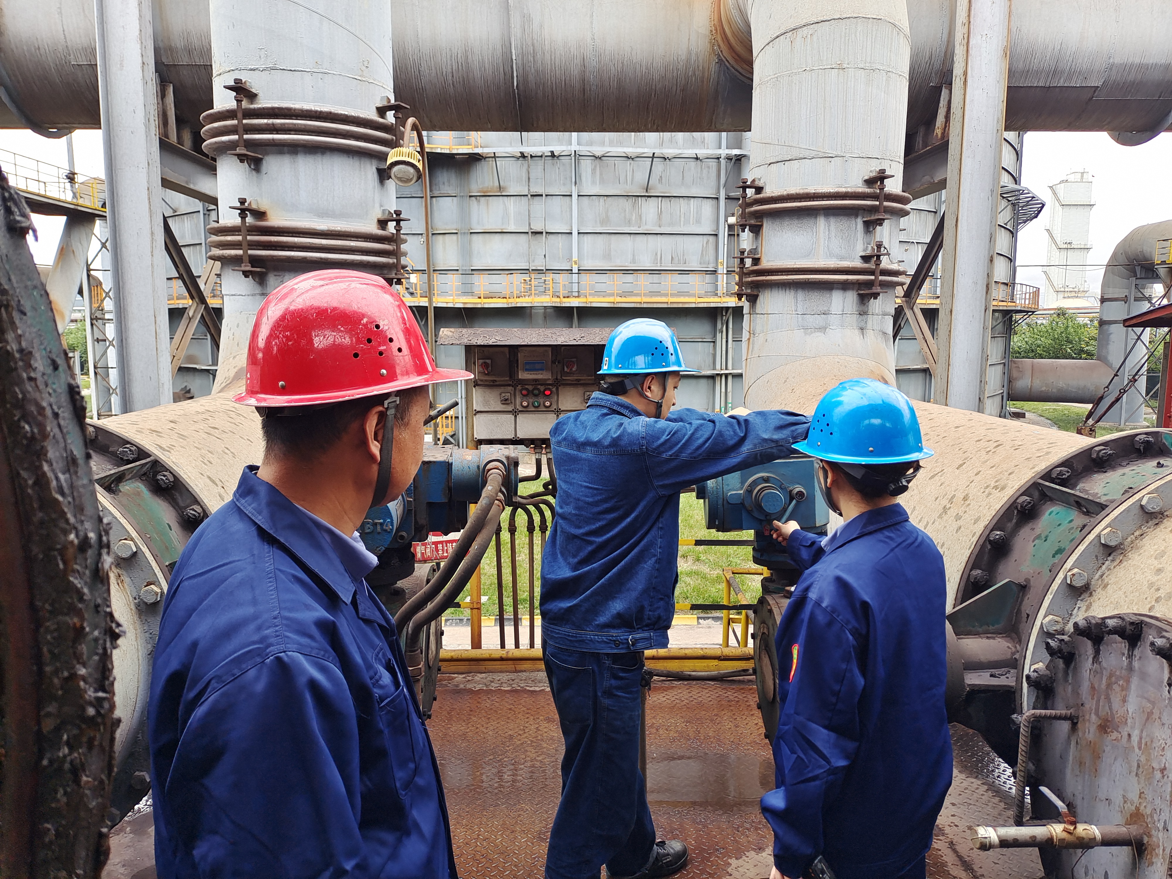 “廉花”盛開(kāi)“清風(fēng)”自來(lái)