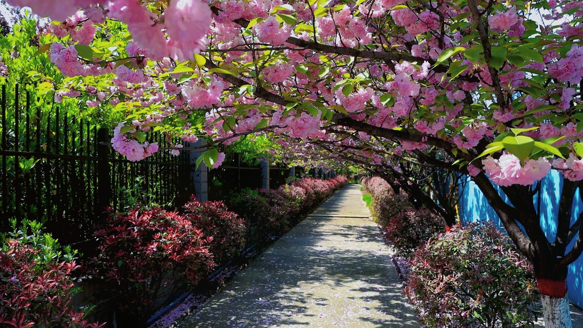 按下“奮進(jìn)鍵”不負(fù)好時光