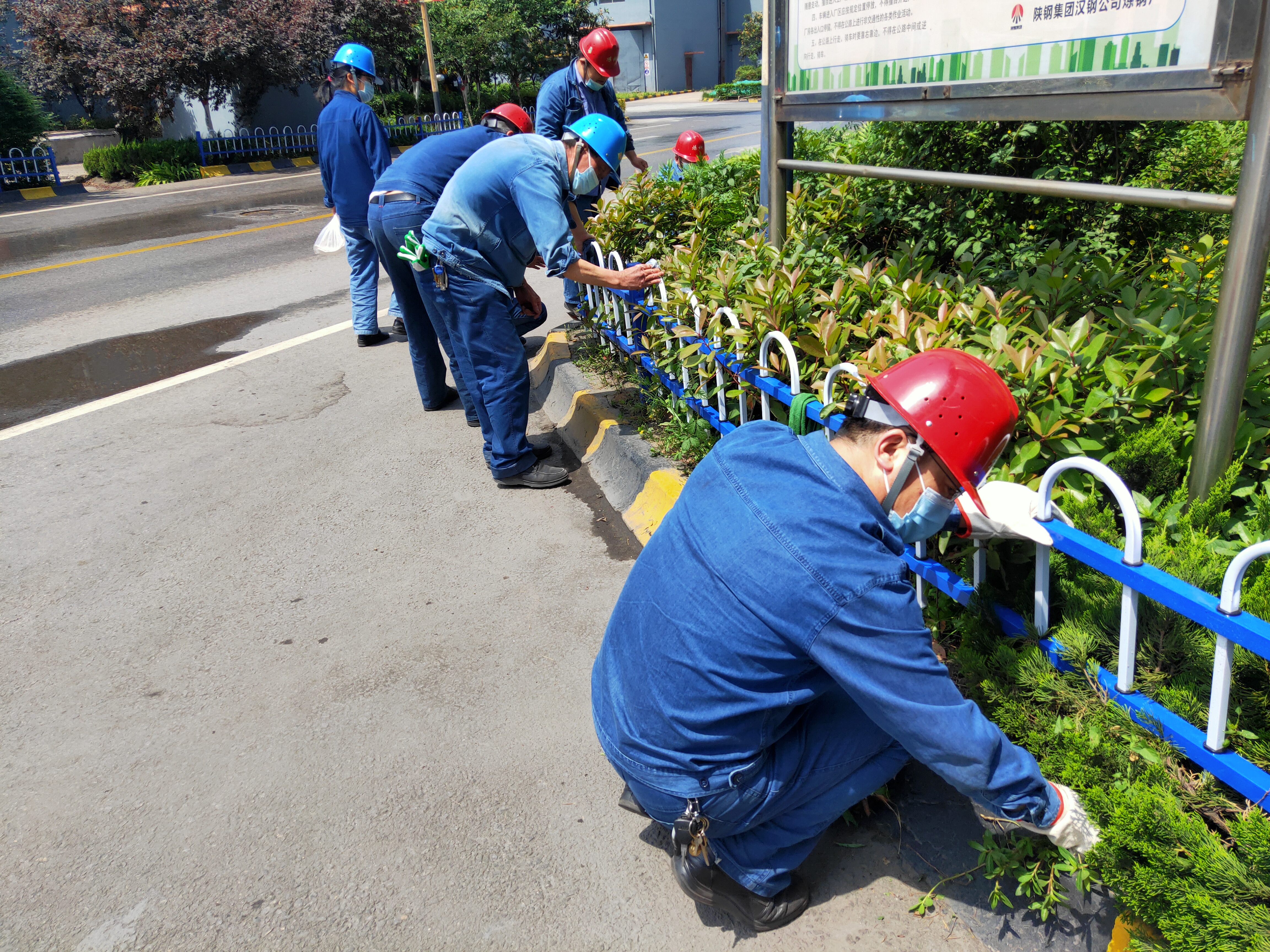 “碳”索未來，“綠”動鋼城