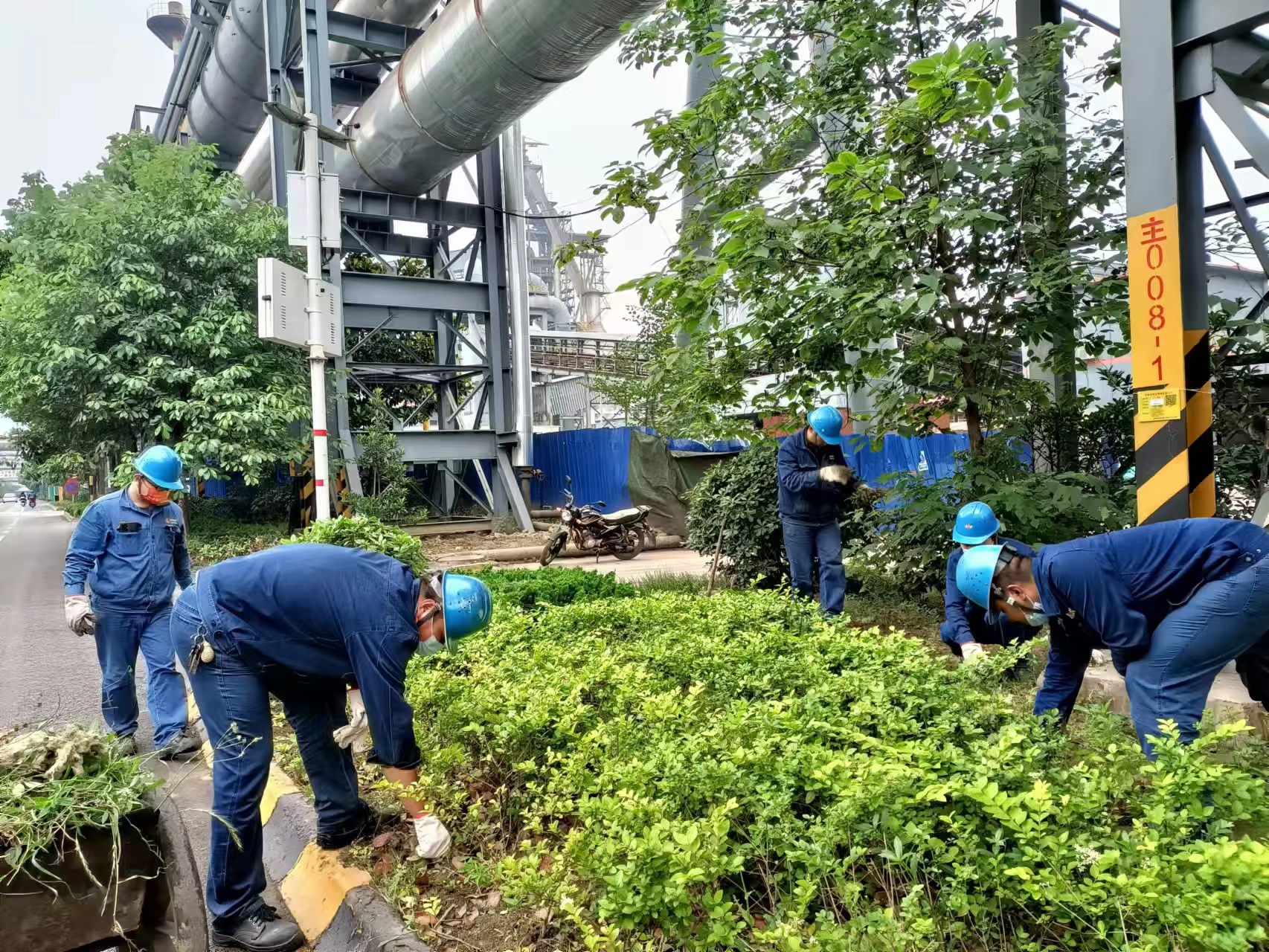 打通綠色動脈 擁抱活力漢鋼