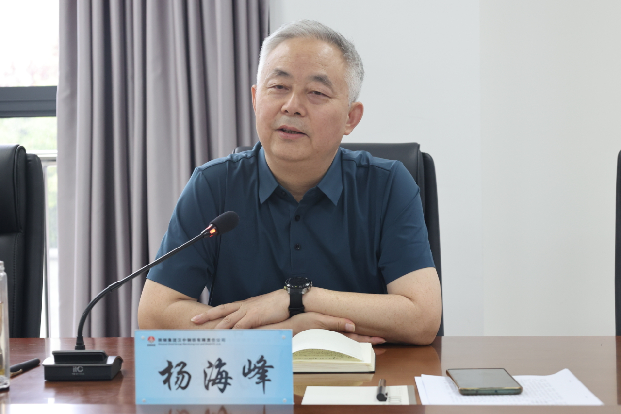 楊海峰到漢鋼公司調(diào)研指導(dǎo)工作