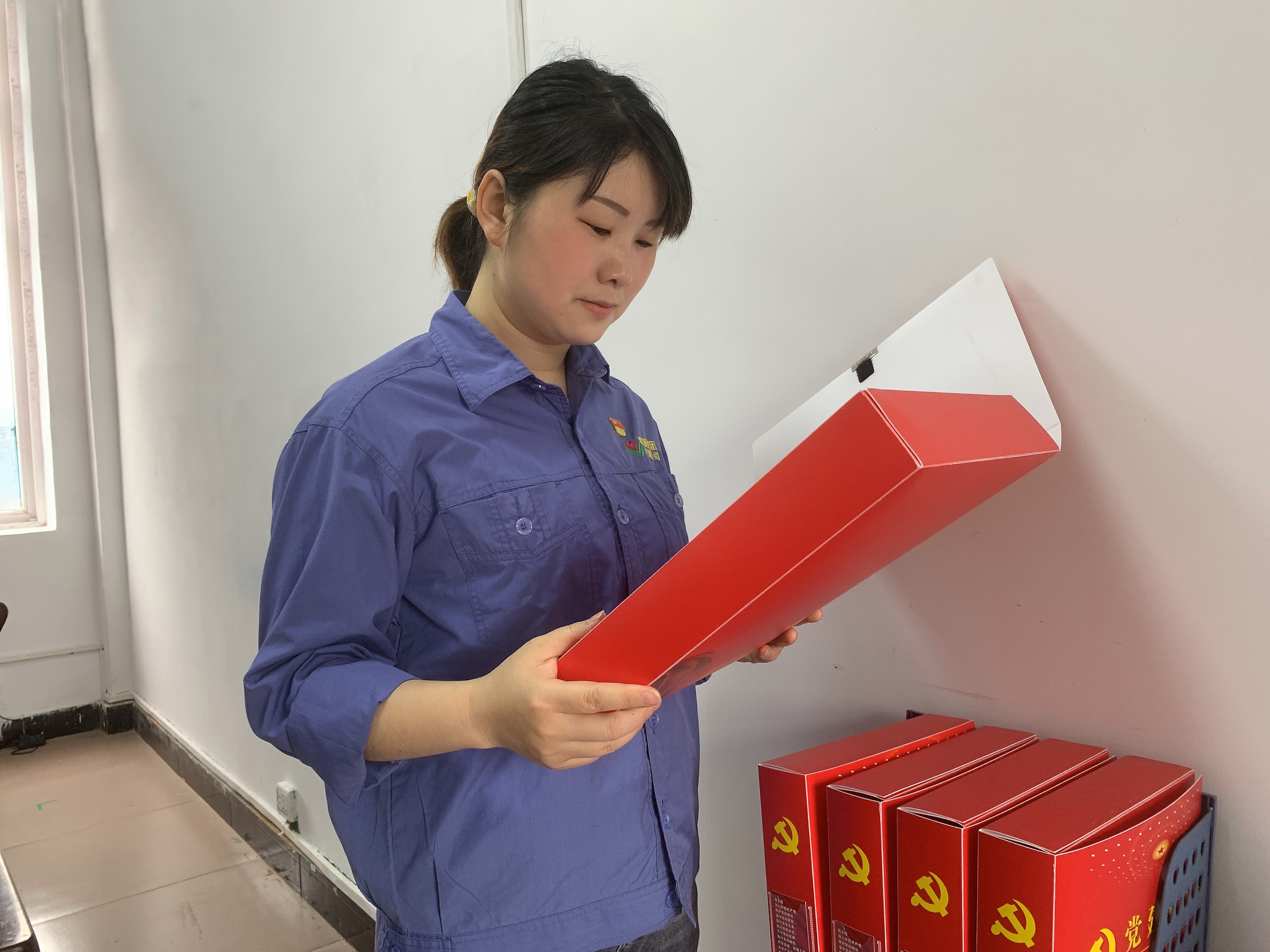 初心，在黨旗下閃耀---記陜鋼集團(tuán)漢鋼公司“優(yōu)秀黨委工作者”李培