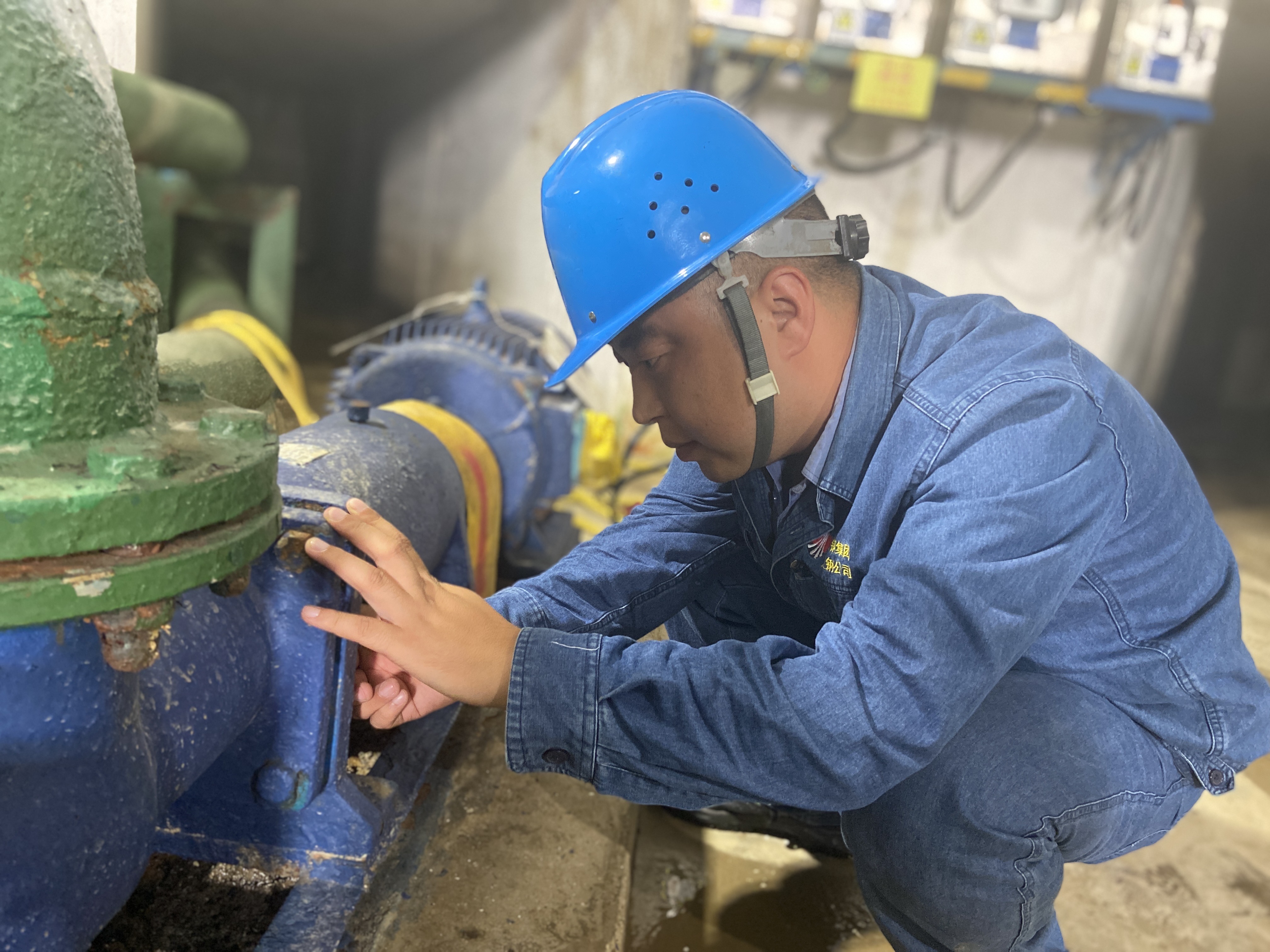 盛夏時光中的“流行色”