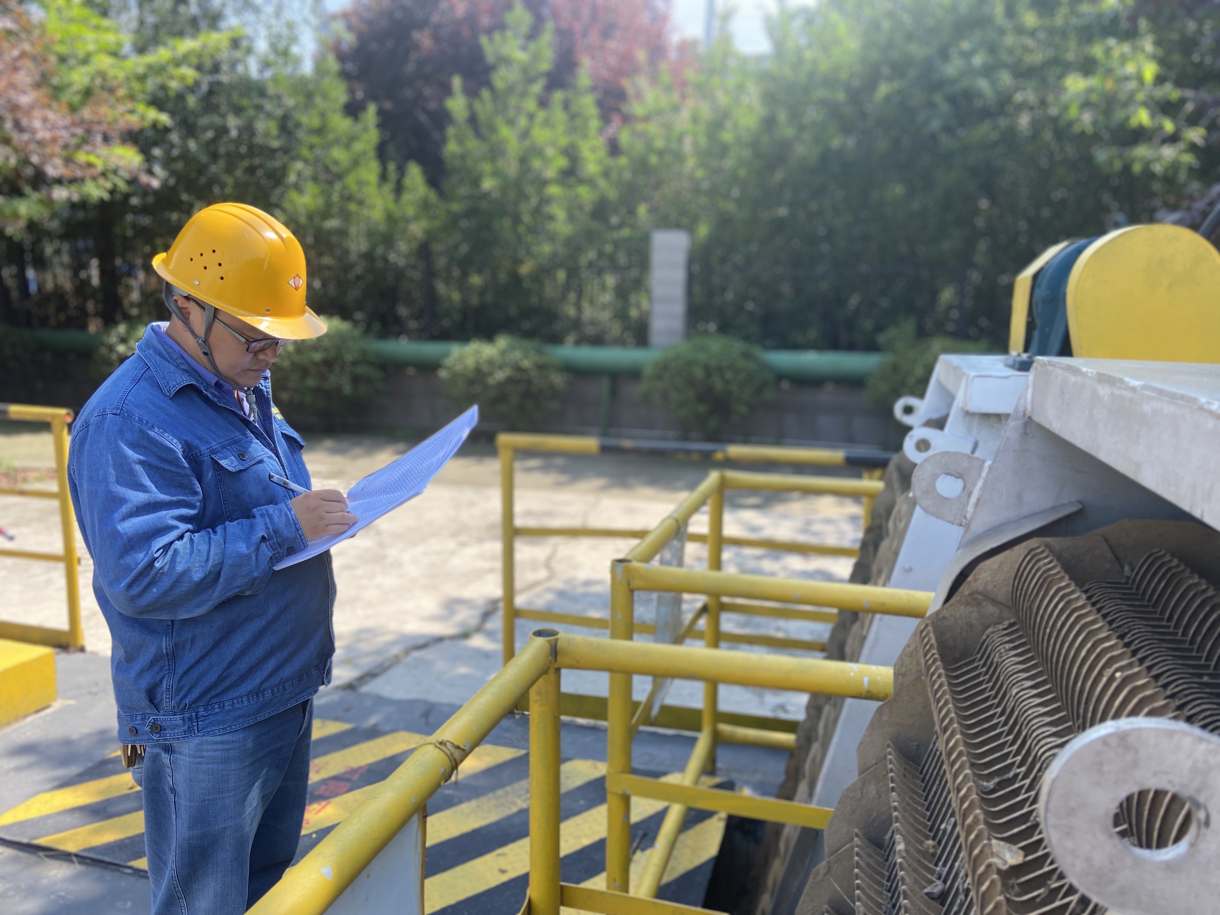 盛夏時光中的“流行色”