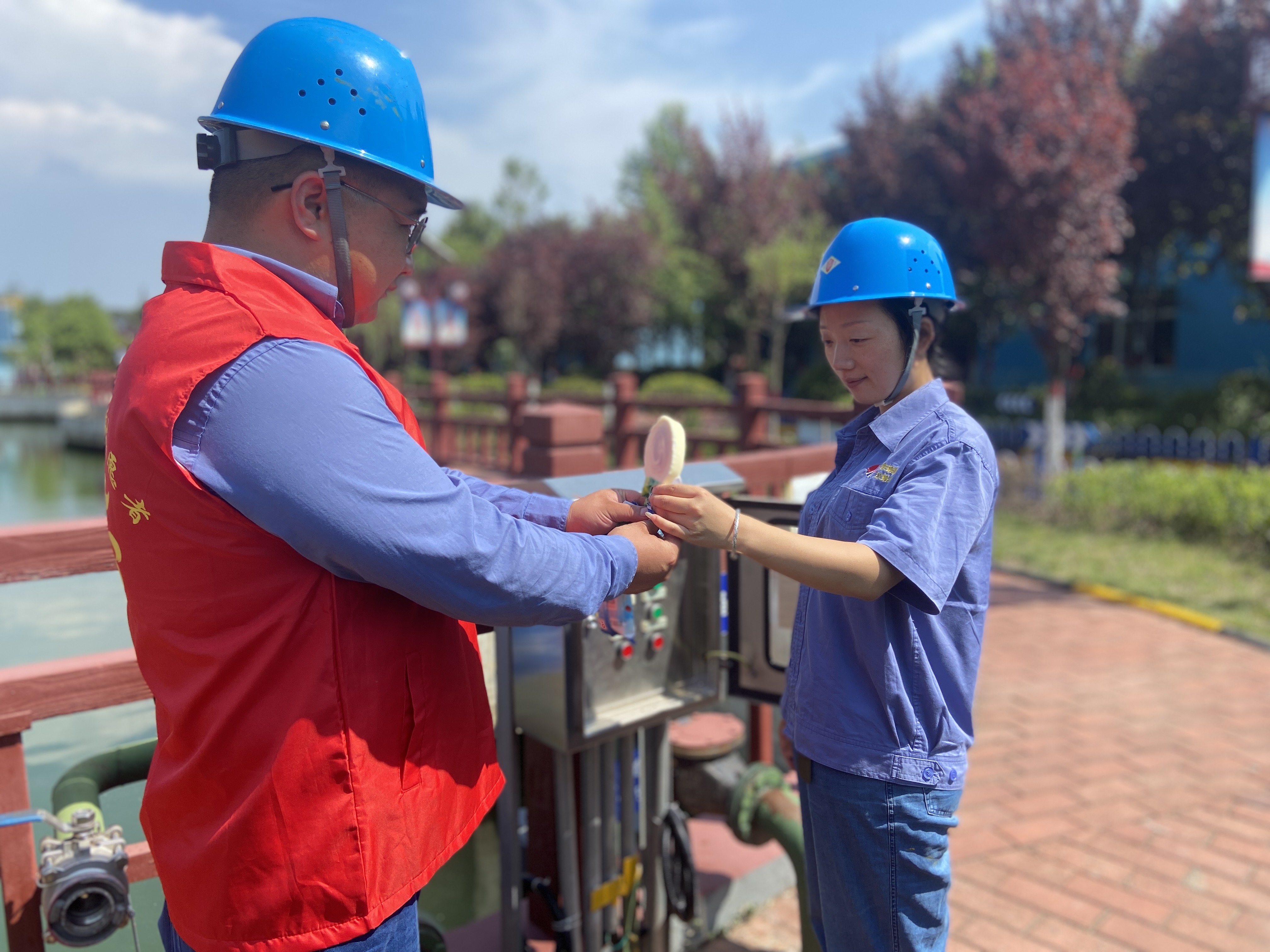 盛夏時光中的“流行色”