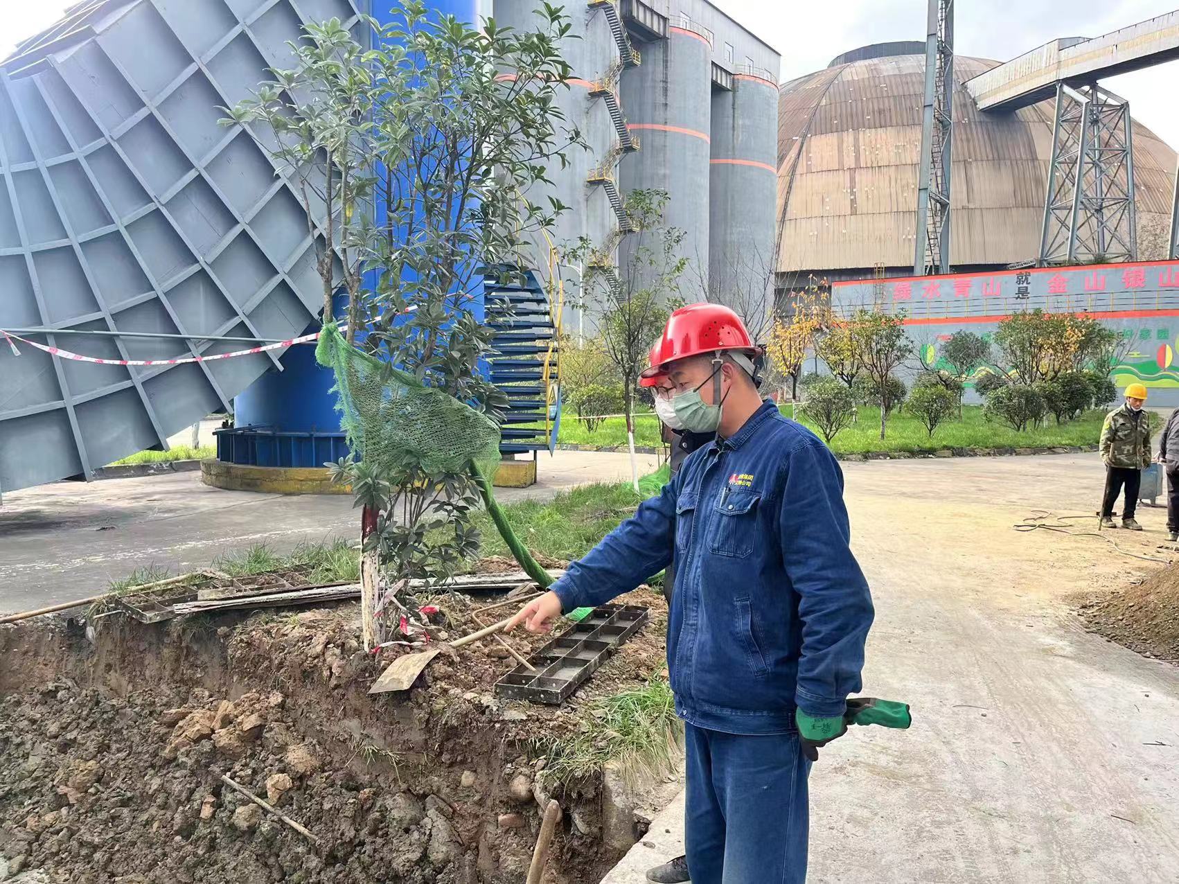 降本增效“黑馬”突圍