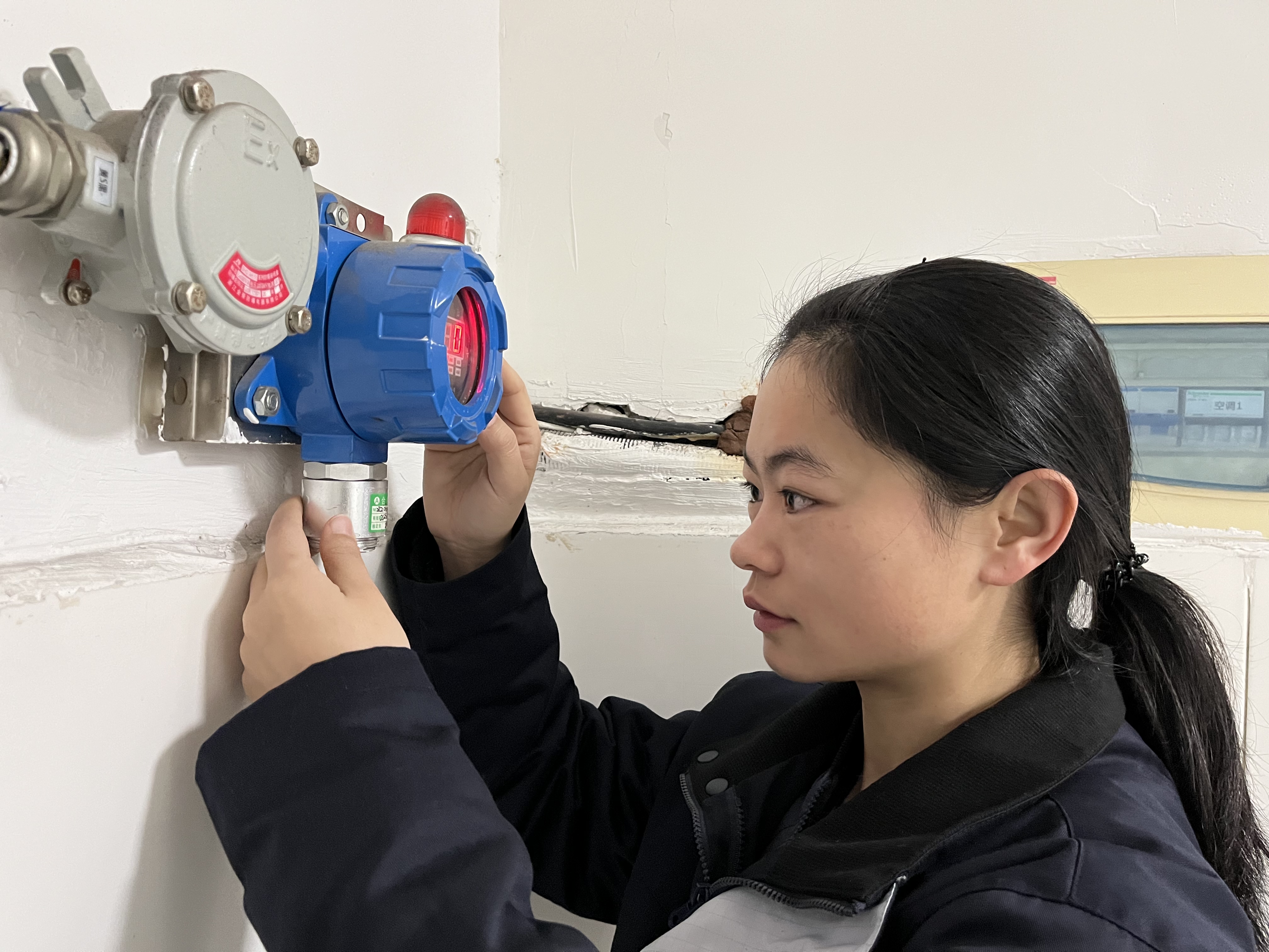 綻放在鋼城里的“冬日玫瑰”