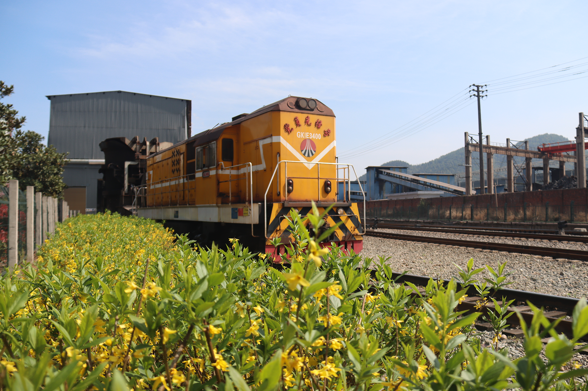 煙花三月，來聽他們的“春運”故事