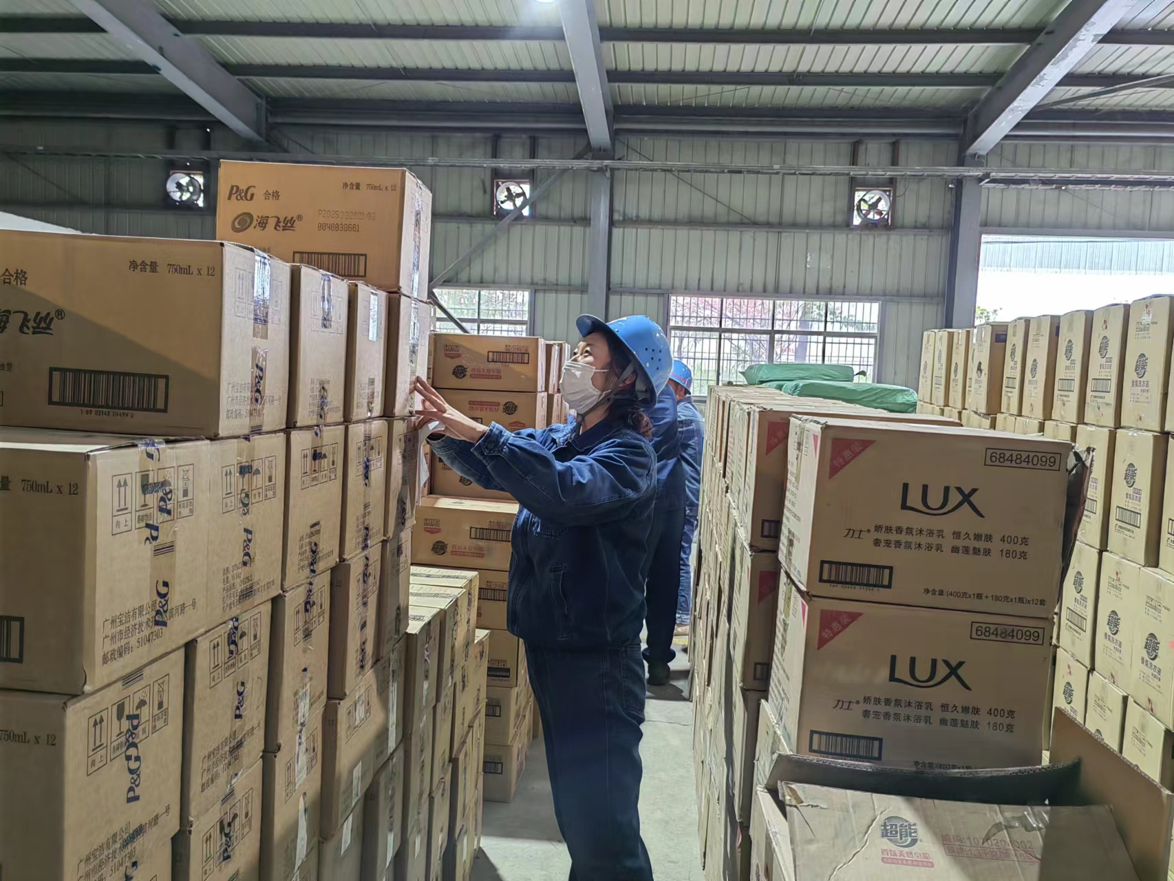 沐浴春光，庫(kù)房里盛開了別樣的“花”