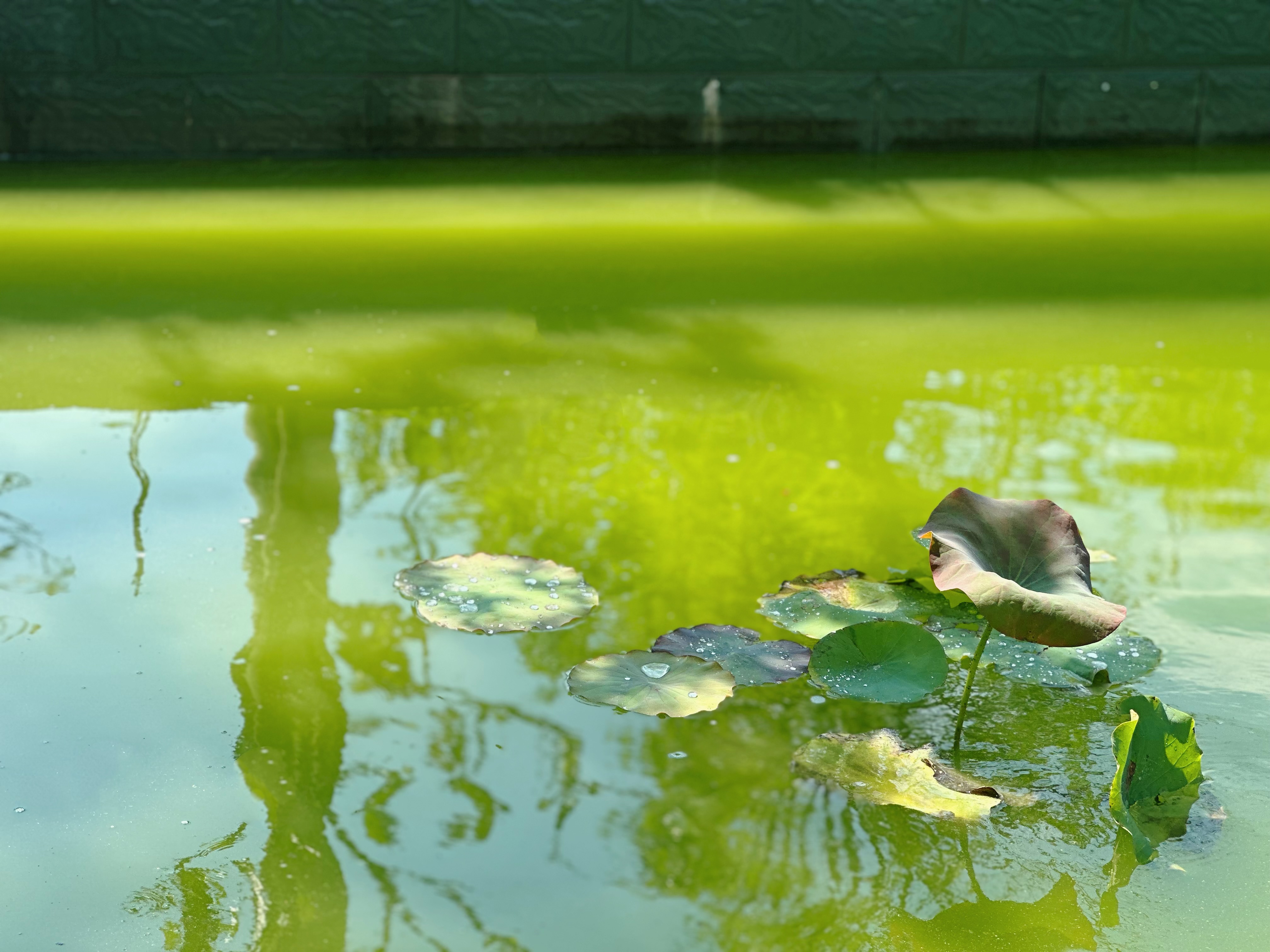 精心做好“水文章”  繪就綠色發(fā)展新畫(huà)卷