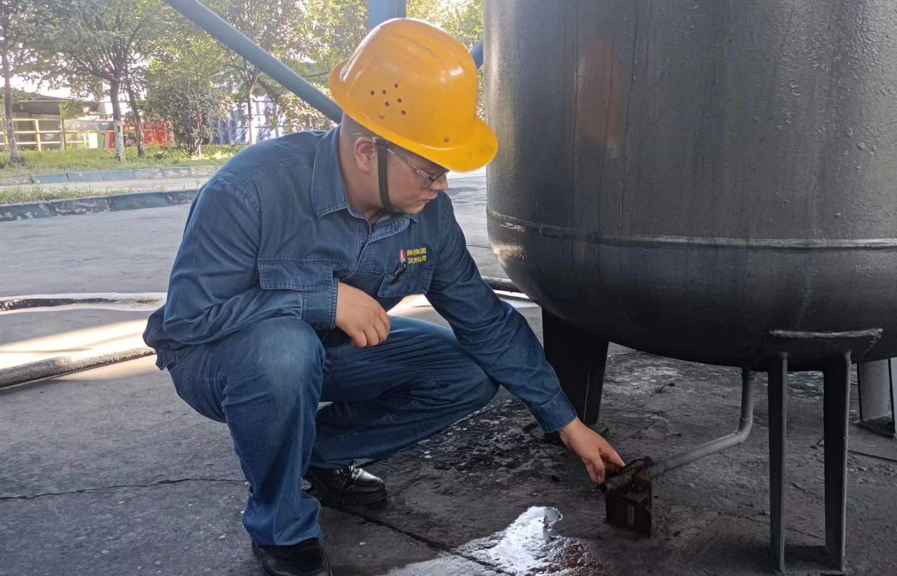 “楊”帆起航  星“光”璀璨耀鋼城