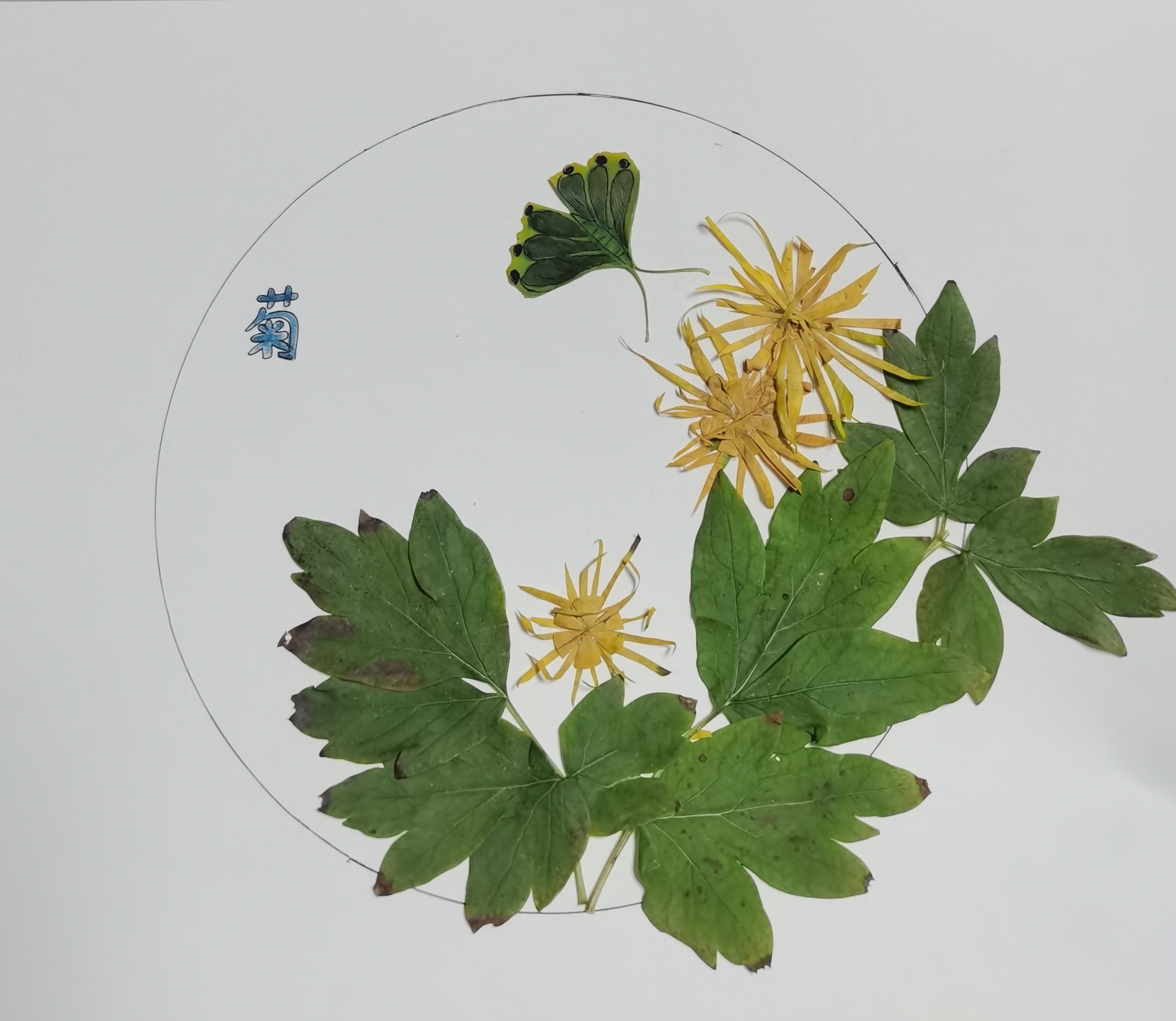 樹葉畫“廉潔” 清風(fēng)潤心田