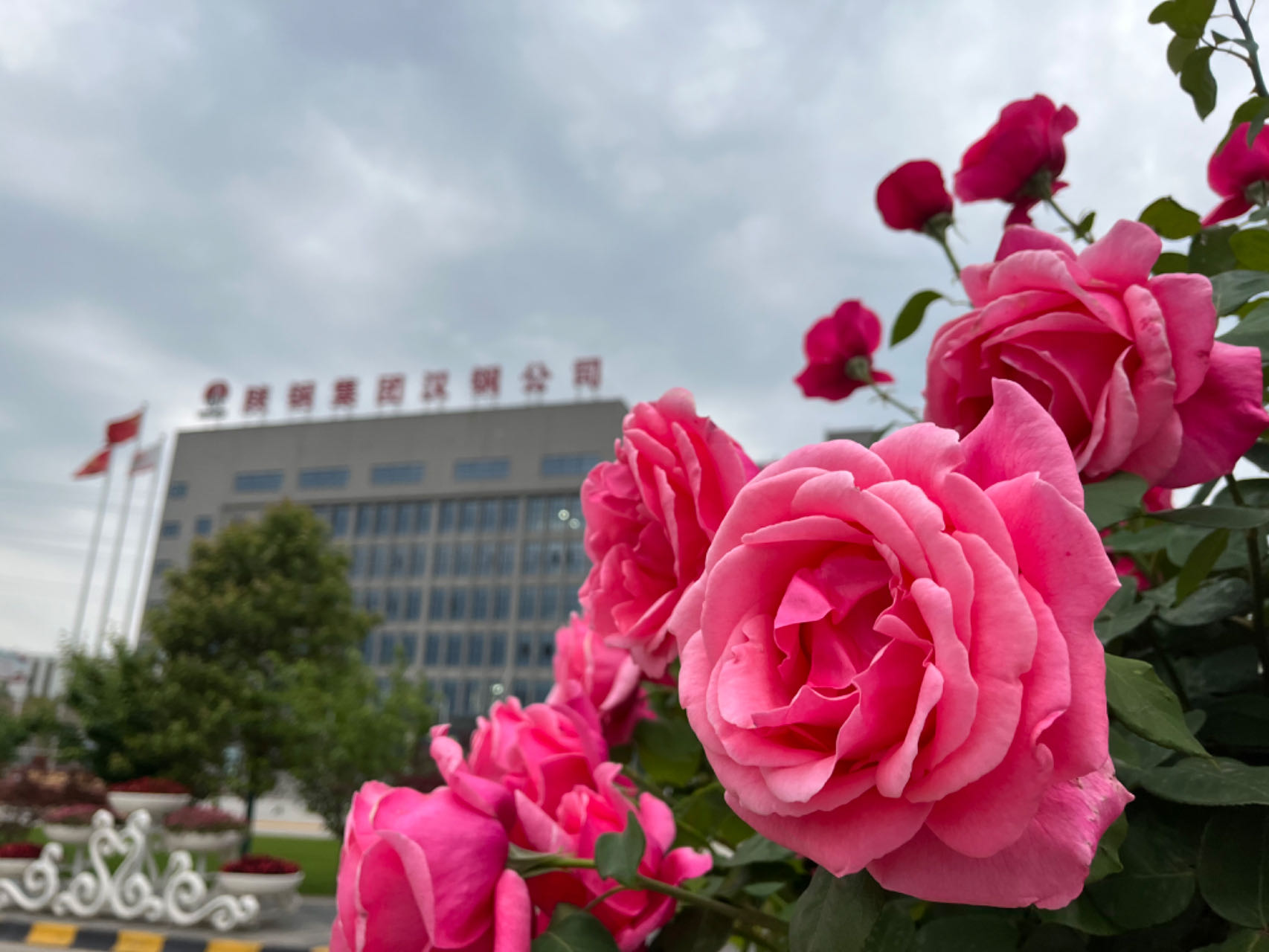 鋼城尋秋 鋼城尋秋