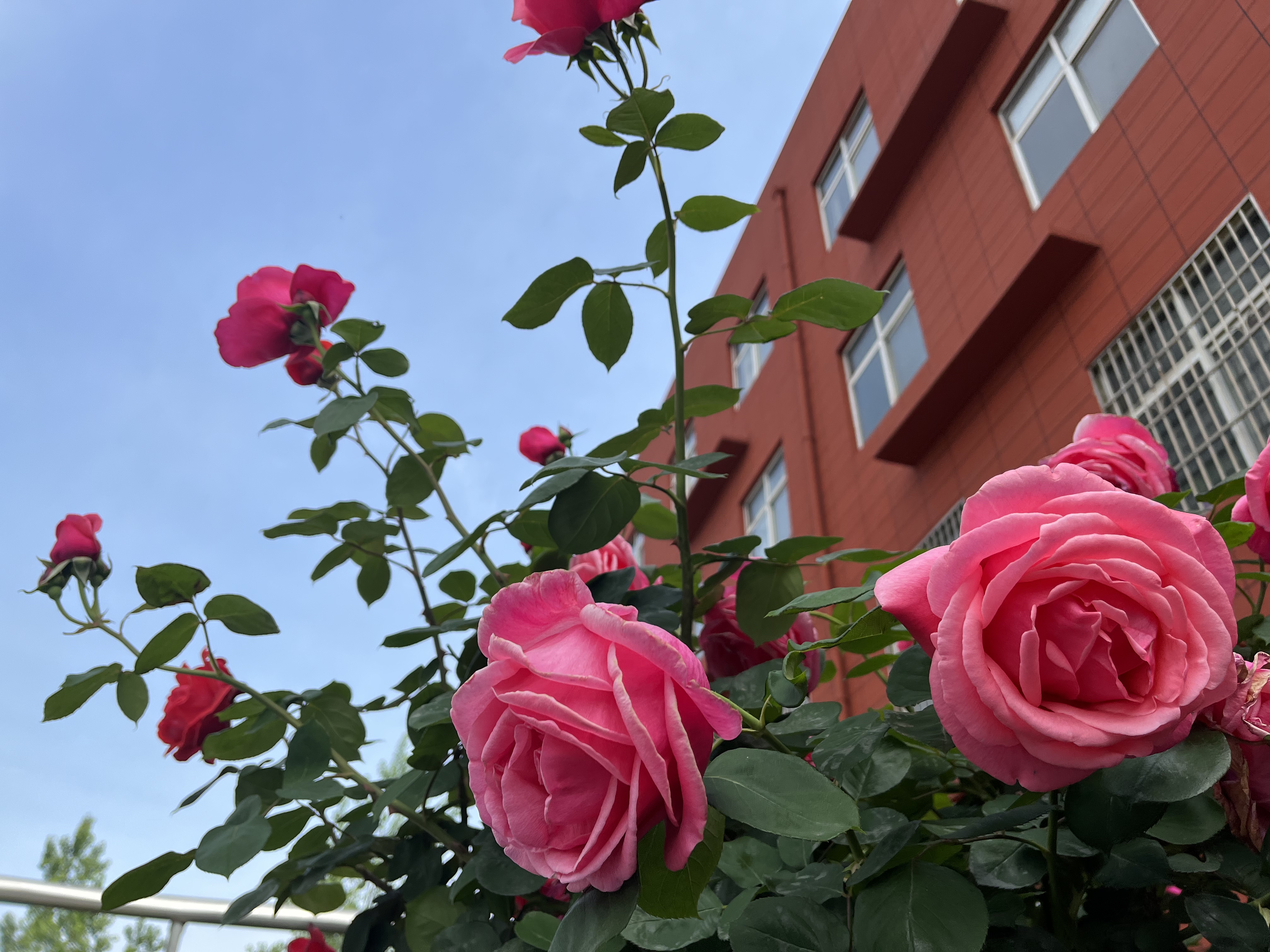 鋼城尋秋 鋼城尋秋