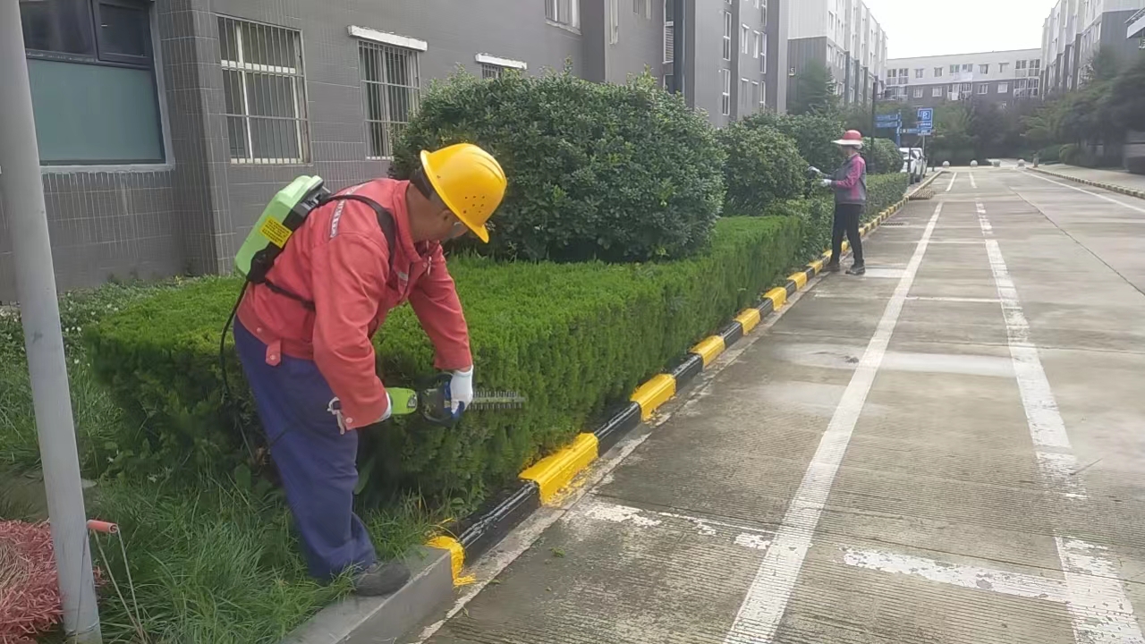 打響秋冬季綠化苗木養(yǎng)護(hù)組合拳，助力鋼城新發(fā)展