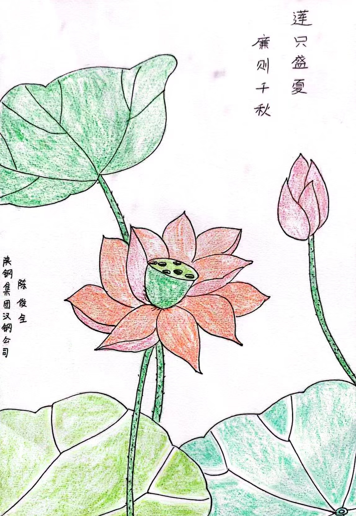 灼灼其蓮，“廉”入我心