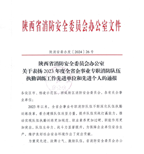 喜訊！漢鋼公司應(yīng)急救援中心榮獲多項(xiàng)殊榮