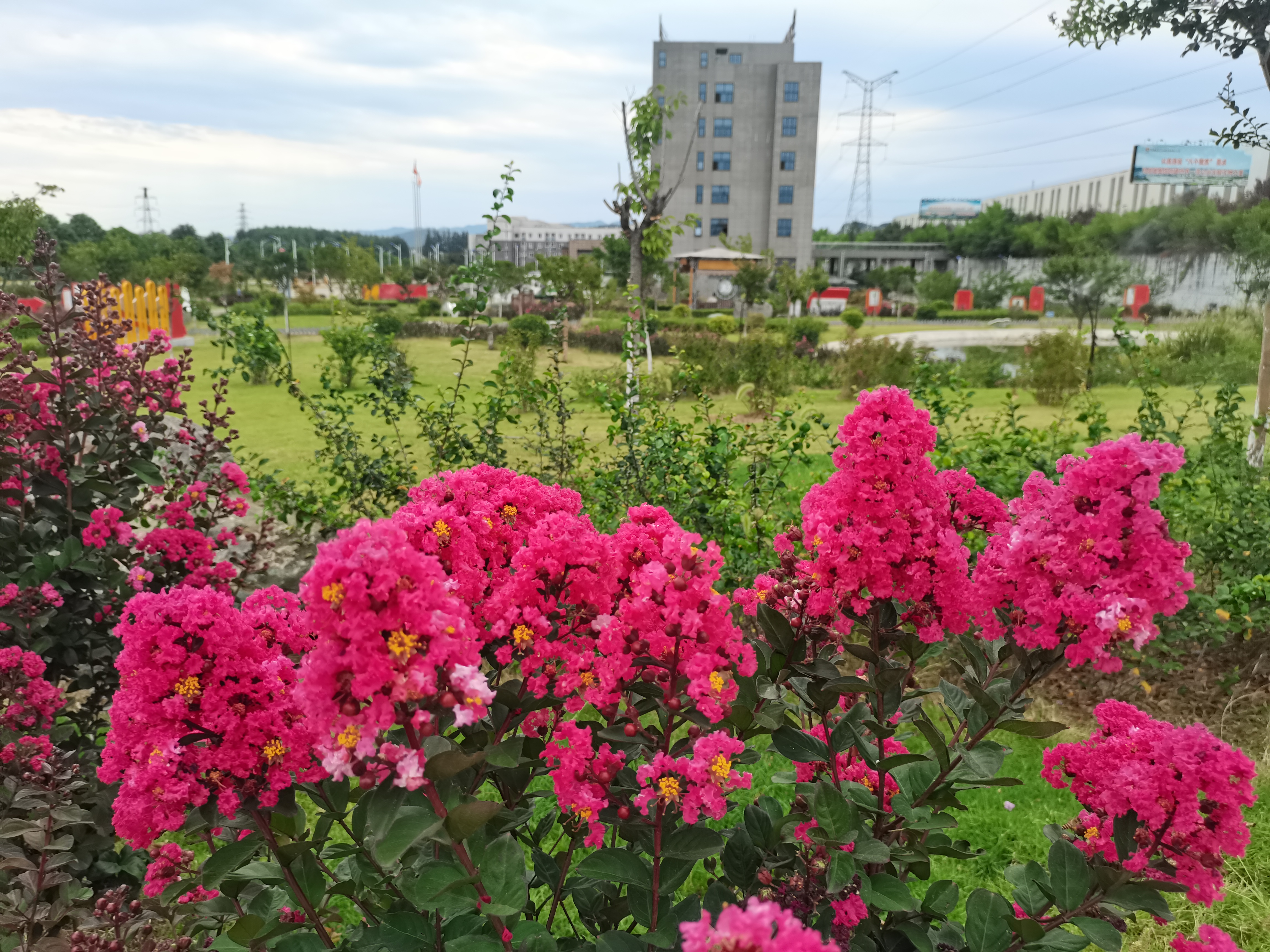 最?lèi)?ài)紫薇那抹紅