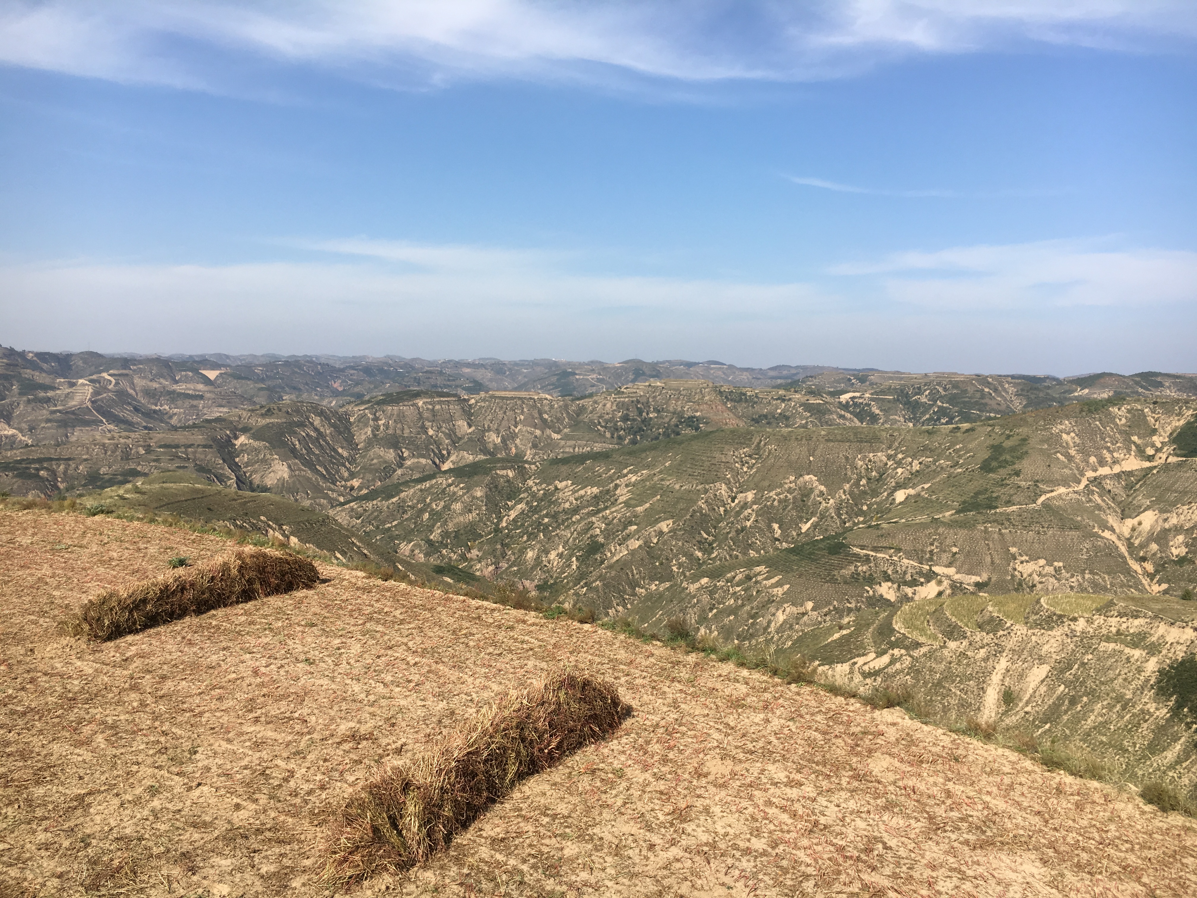 國慶節(jié)里的幸福