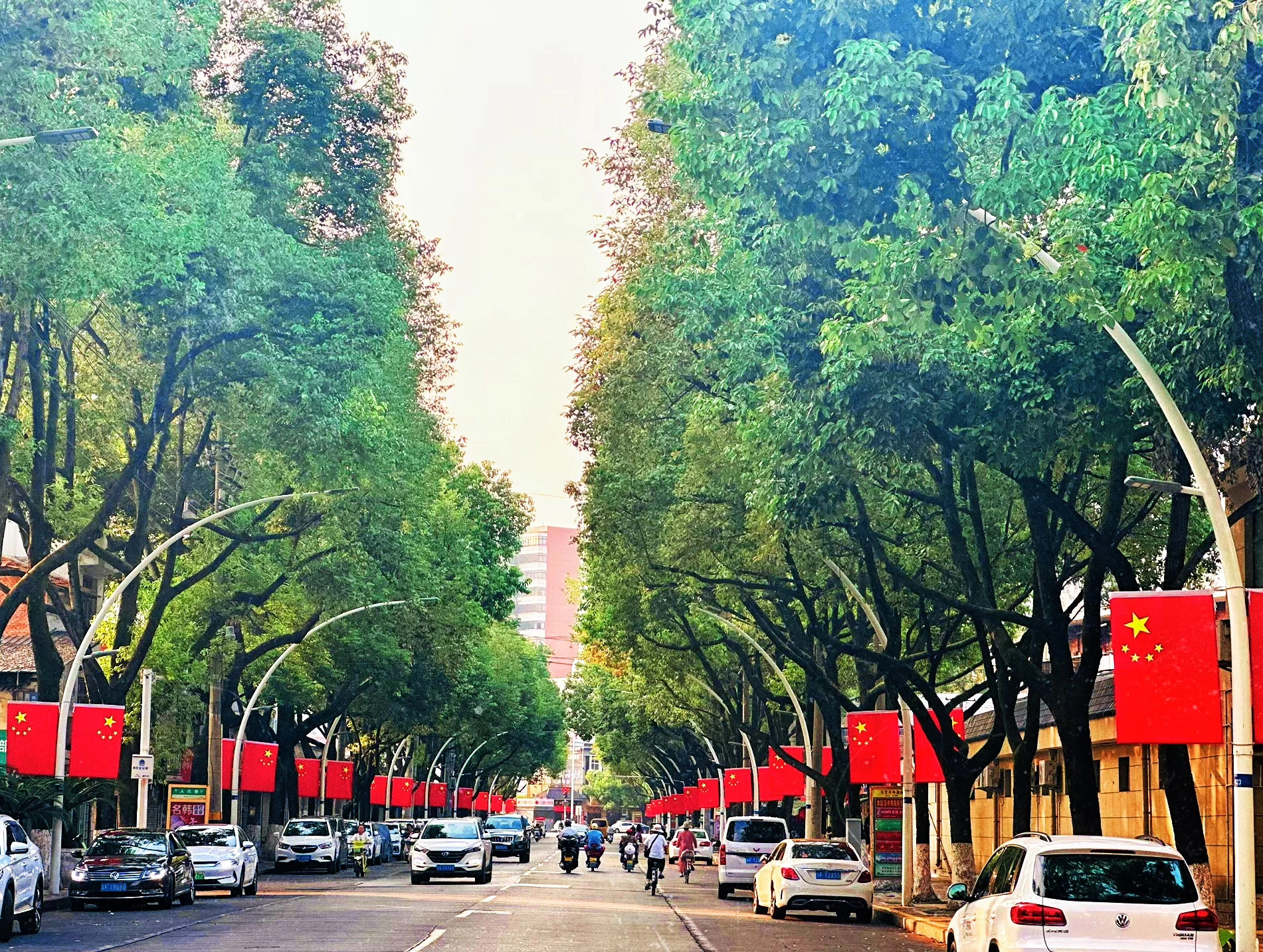 紅旗旁的溫情歲月