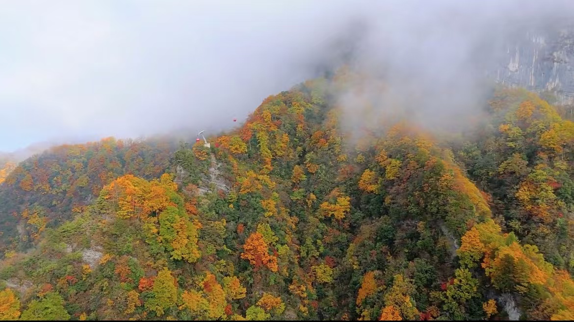 龍頭山，秋如醉