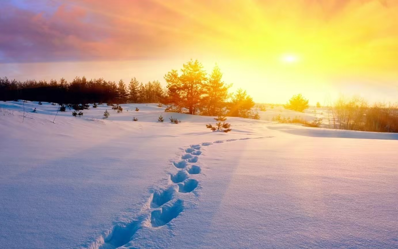 冬日的溫情與希望