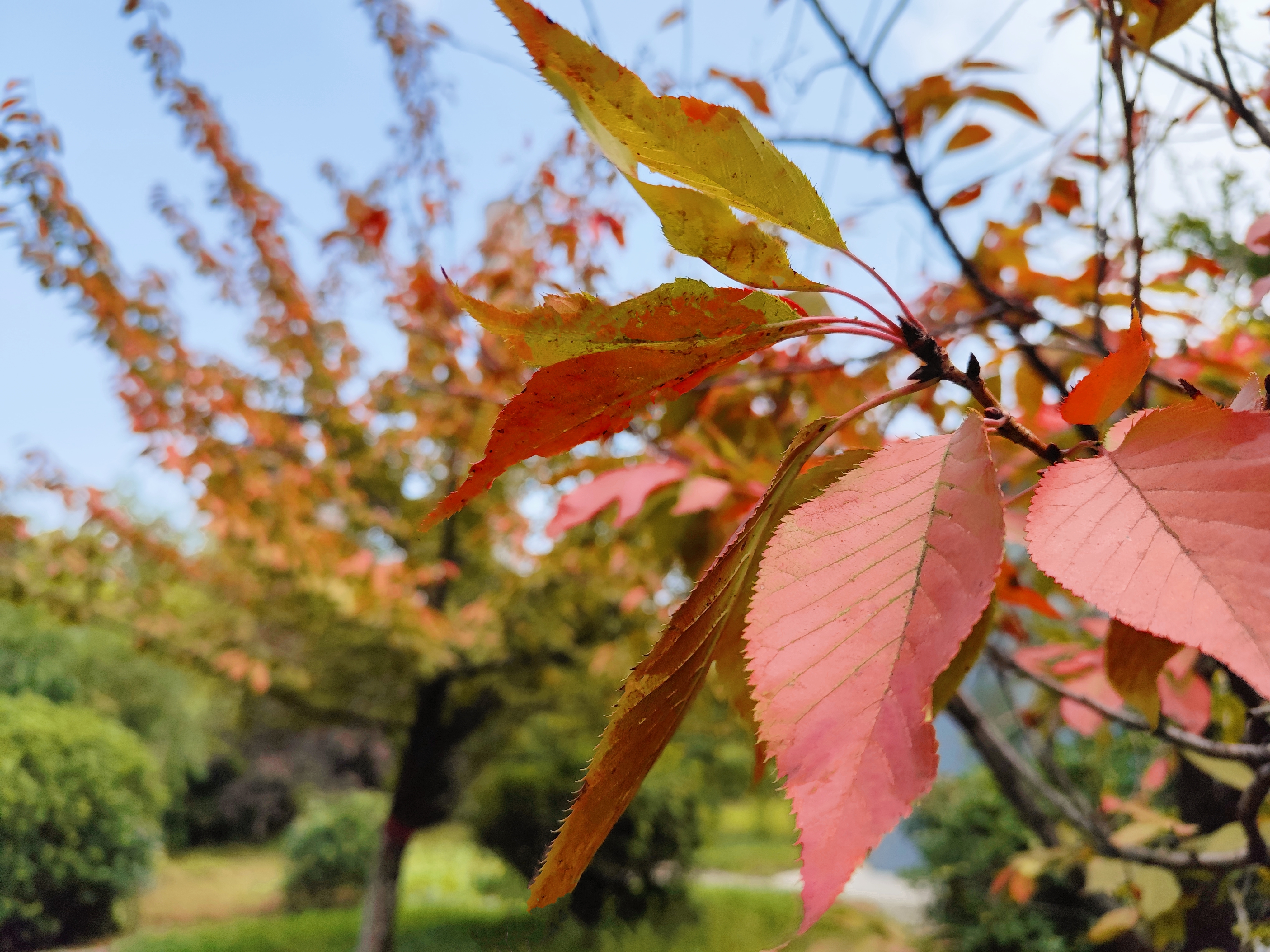 彈了鋼城初春的弦