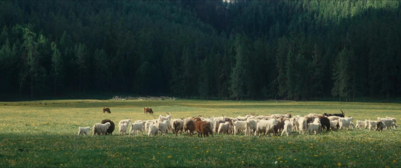 春天，我與讀書有個(gè)約定