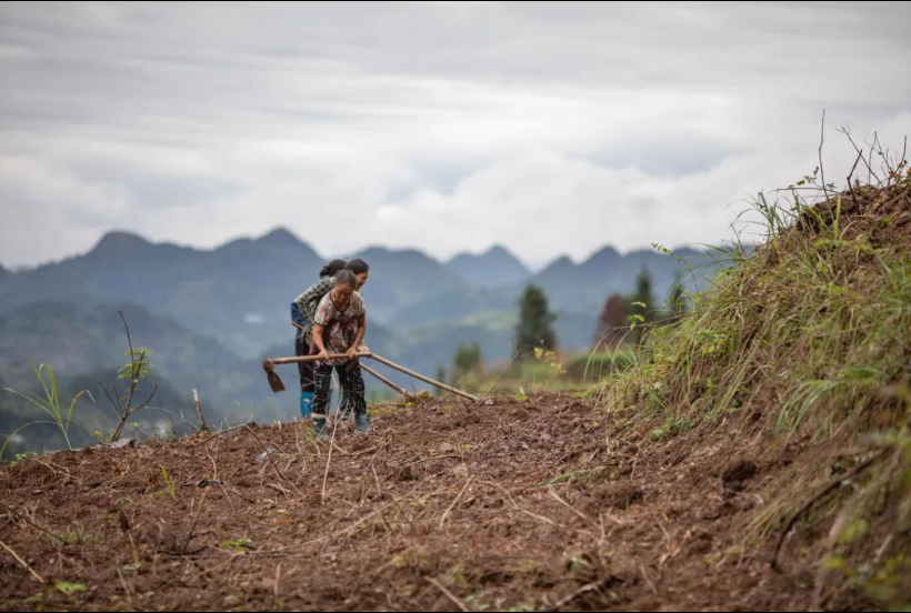 荒蕪的田埂與生長的腳印