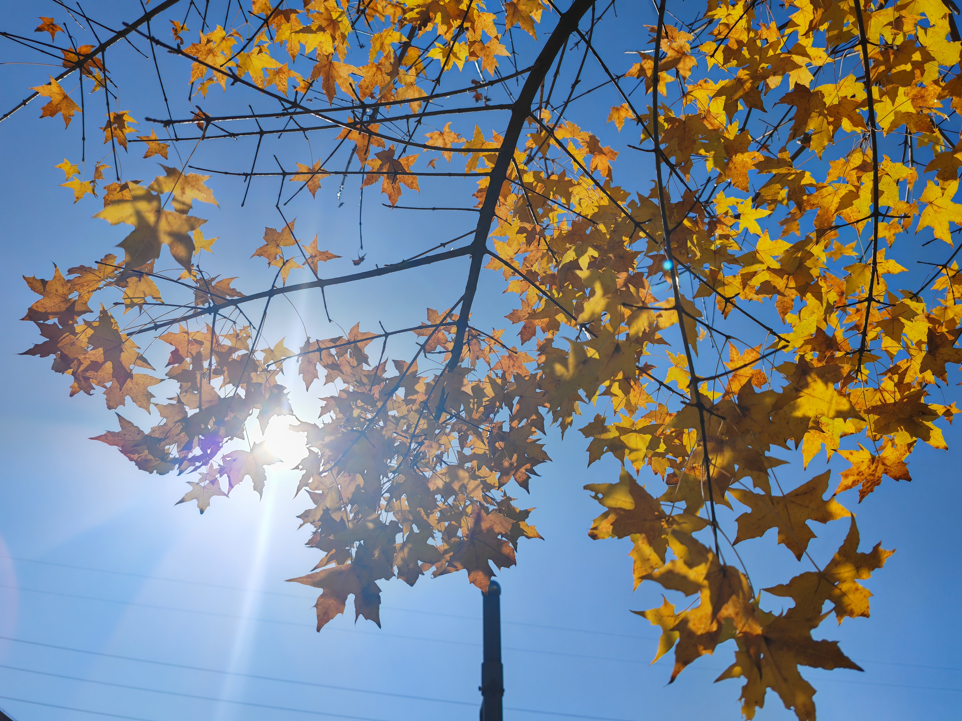 向著光，野蠻生長