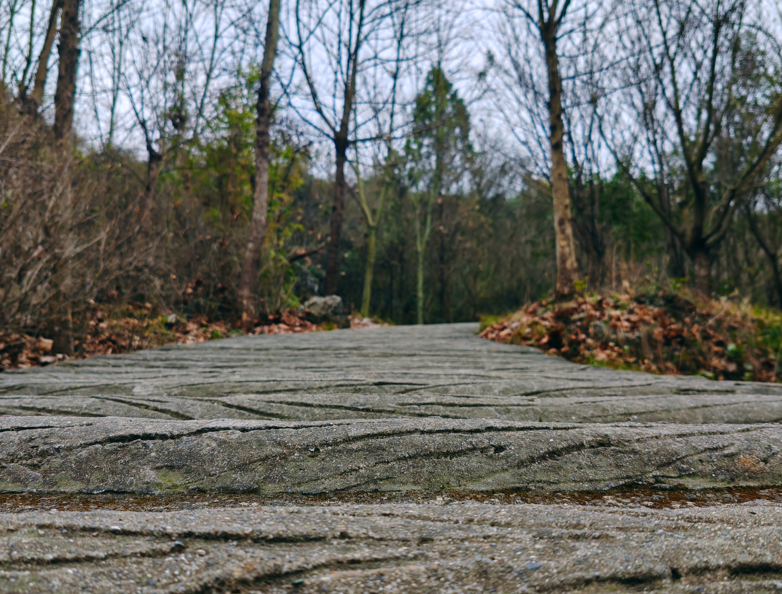 花海古韻織春錦，漢風(fēng)新味醉人間