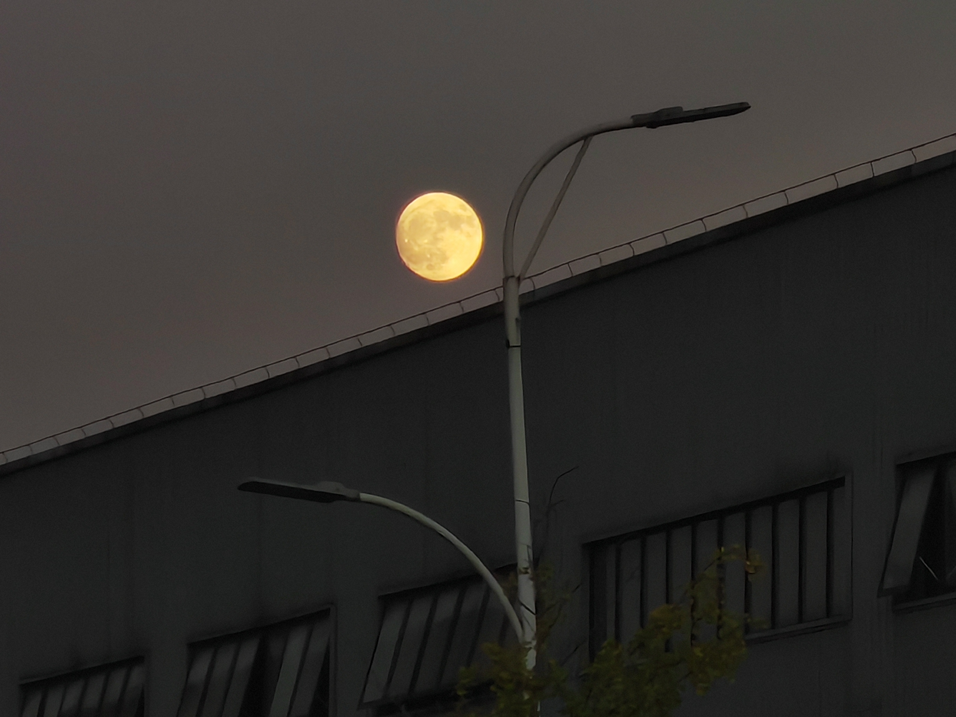 清明遙祭：寸心寄相思