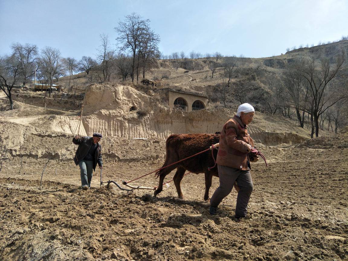 與兄書陜北辭話序