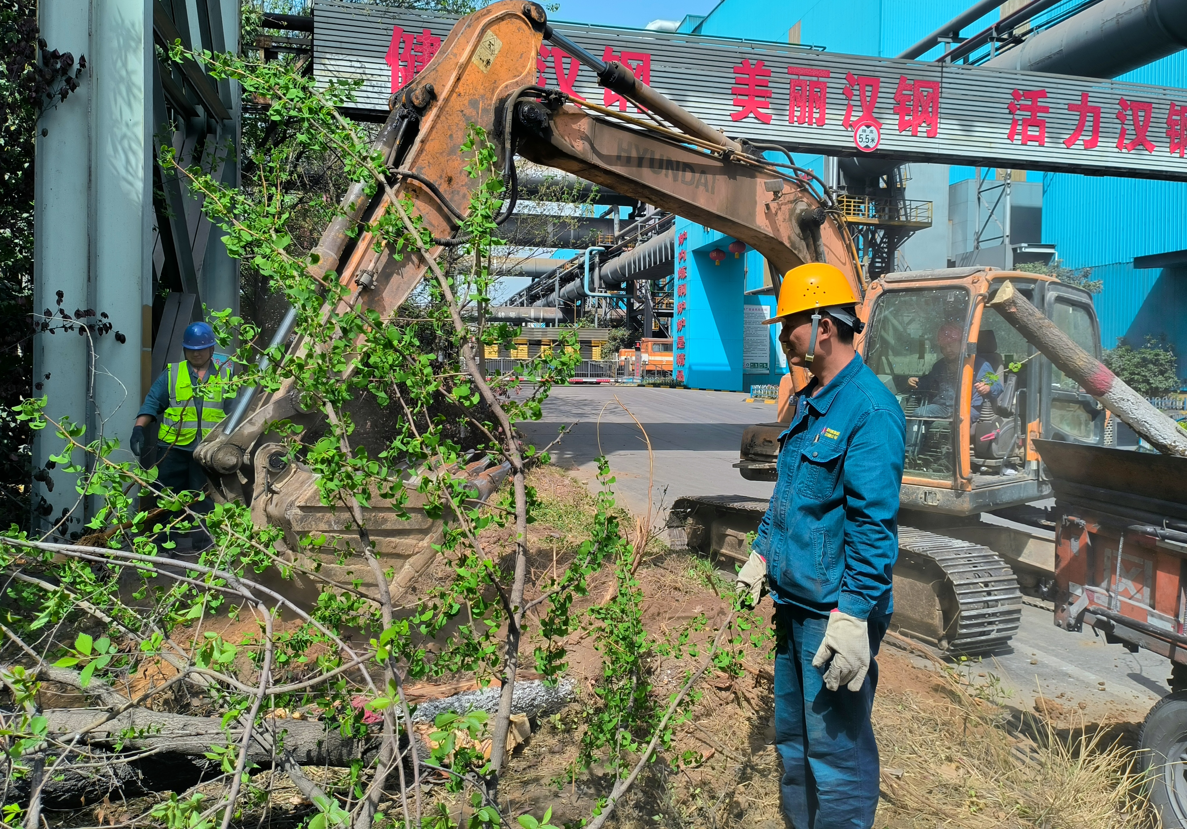 向新而生  看煉鋼人的奮進(jìn)“速描”