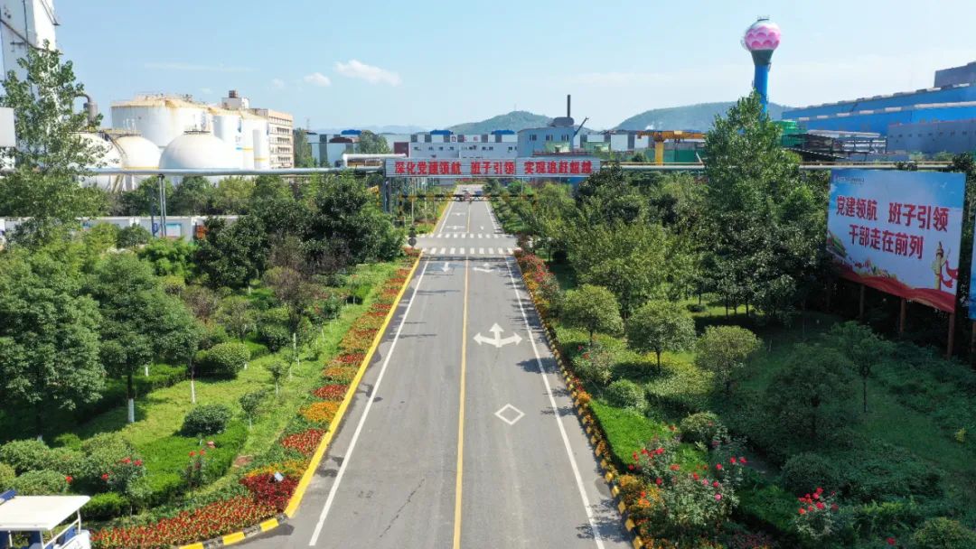 這是春嗎？這不是春