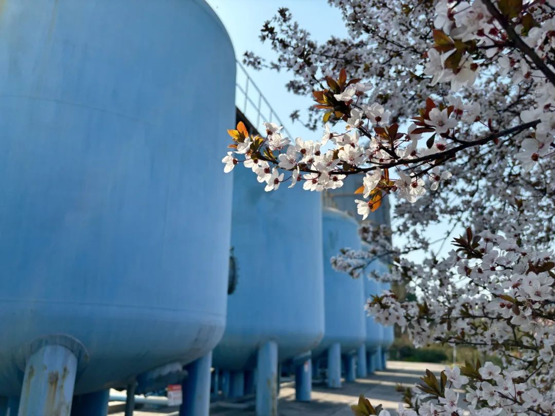 這是春嗎？這不是春