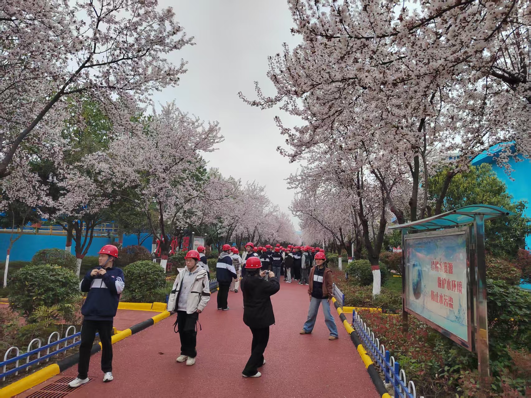 乘研學(xué)東風(fēng)，觀鋼鐵之美——陜鋼集團(tuán)漢鋼公司今春研學(xué)已超2000人