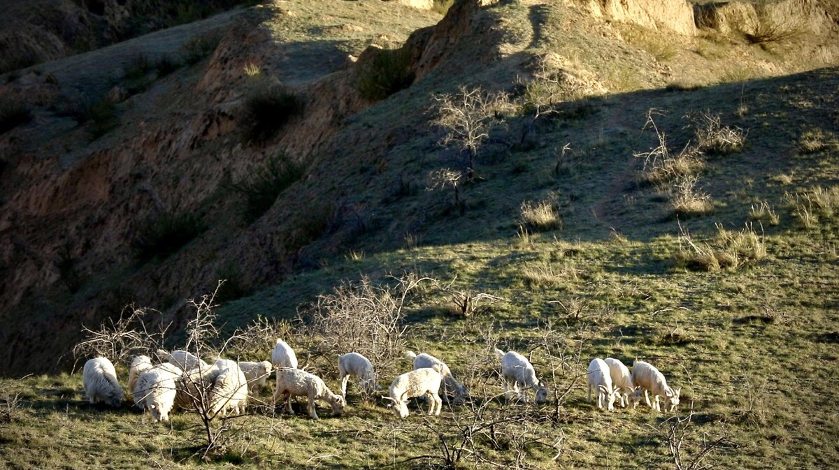 幸福用勤勞書寫